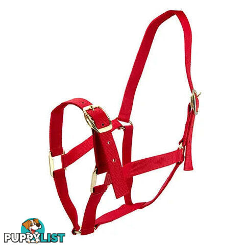 Click to Enlarge HORSE HALTERS - BAINBRIDGE - BB-A2202-BLK