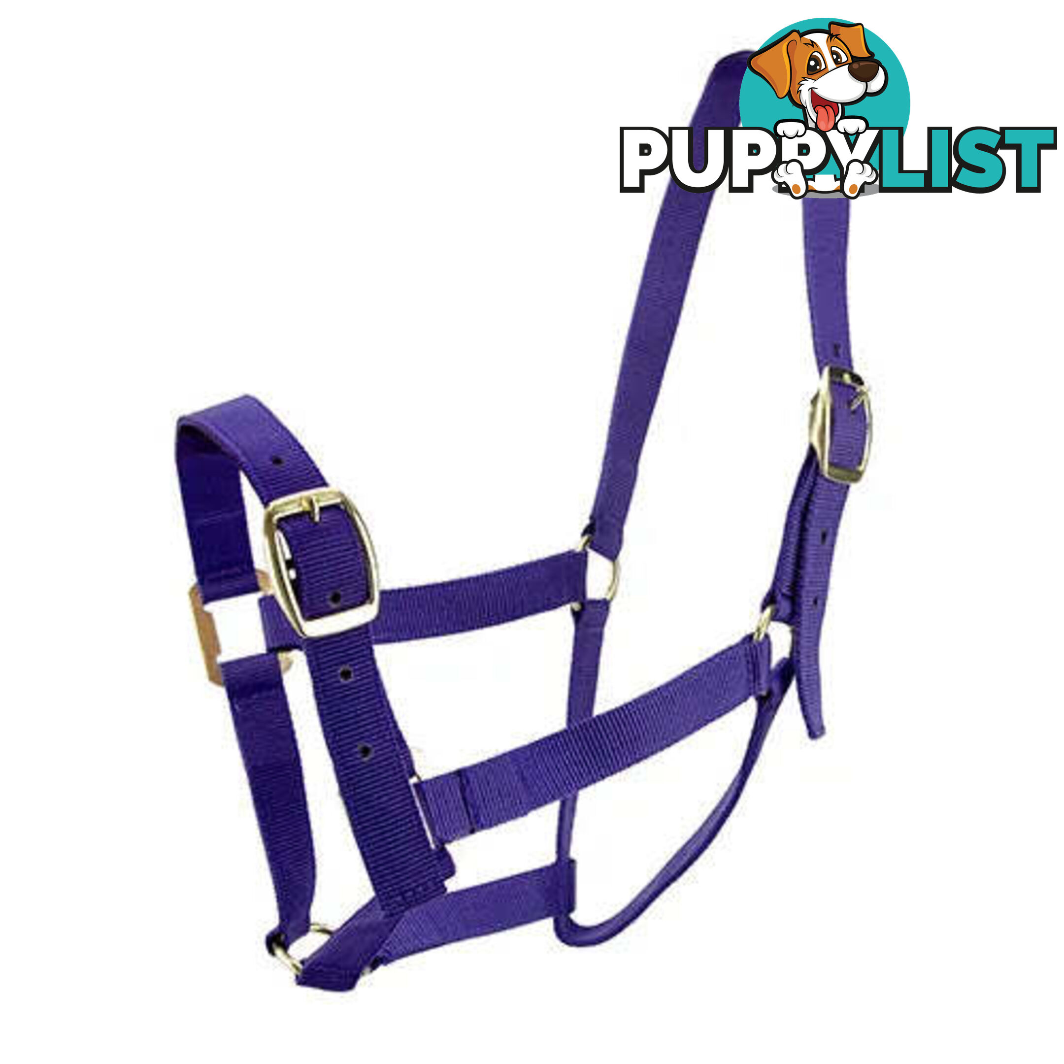 Click to Enlarge HORSE HALTERS - BAINBRIDGE - BB-A2202-BLK