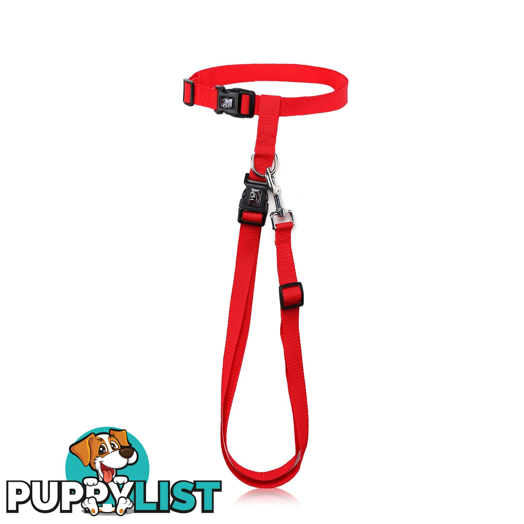 Hands Free Runner/Walker Waist Dog Leash Reflective- Moondidley Pets - MDPLDRUNGN