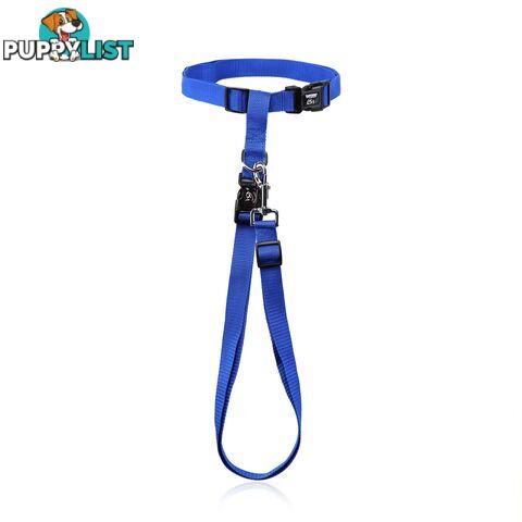Hands Free Runner/Walker Waist Dog Leash Reflective- Moondidley Pets - MDPLDRUNGN