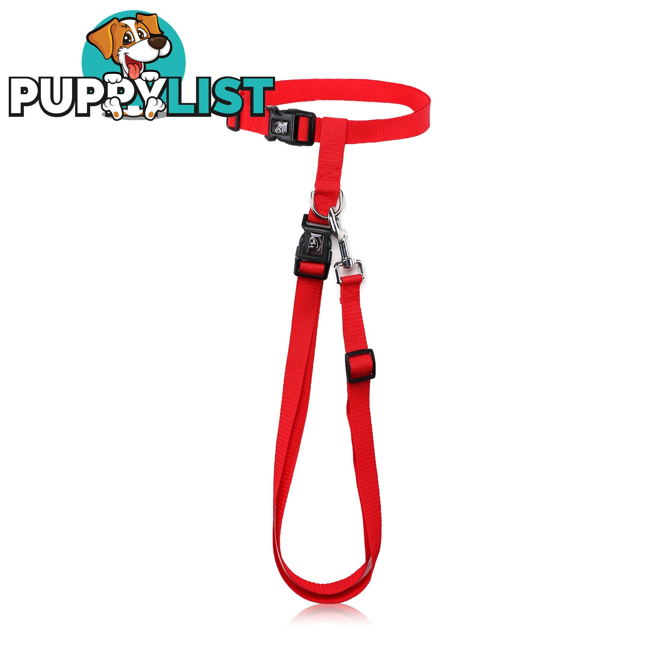 Hands Free Runner/Walker Waist Dog Leash Reflective- Moondidley Pets - MDPLDRUNGN