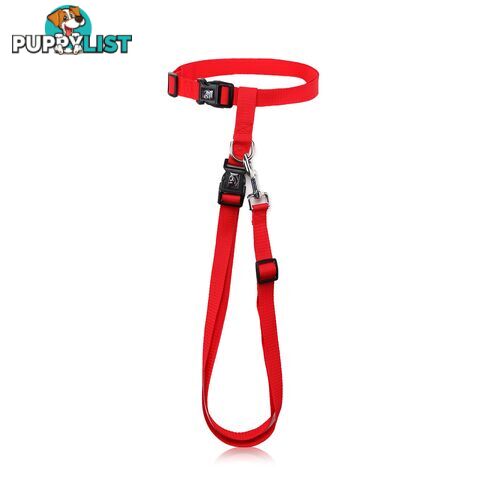Hands Free Runner/Walker Waist Dog Leash Reflective- Moondidley Pets - MDPLDRUNGN