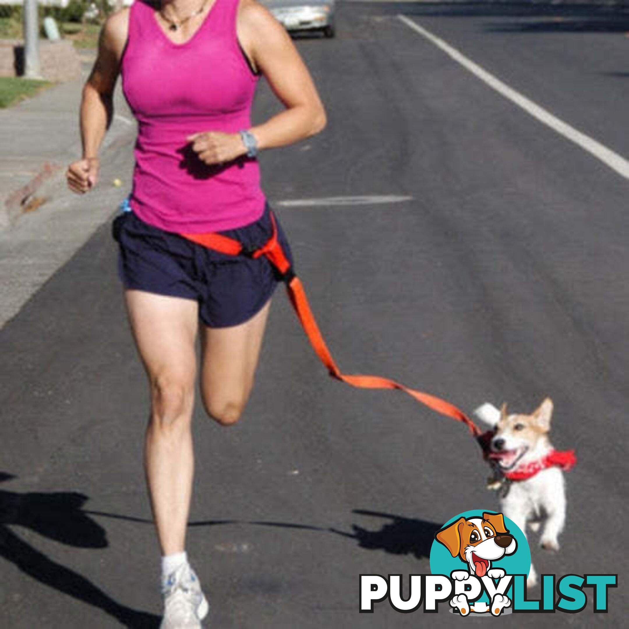 Hands Free Runner/Walker Waist Dog Leash Reflective- Moondidley Pets - MDPLDRUNGN