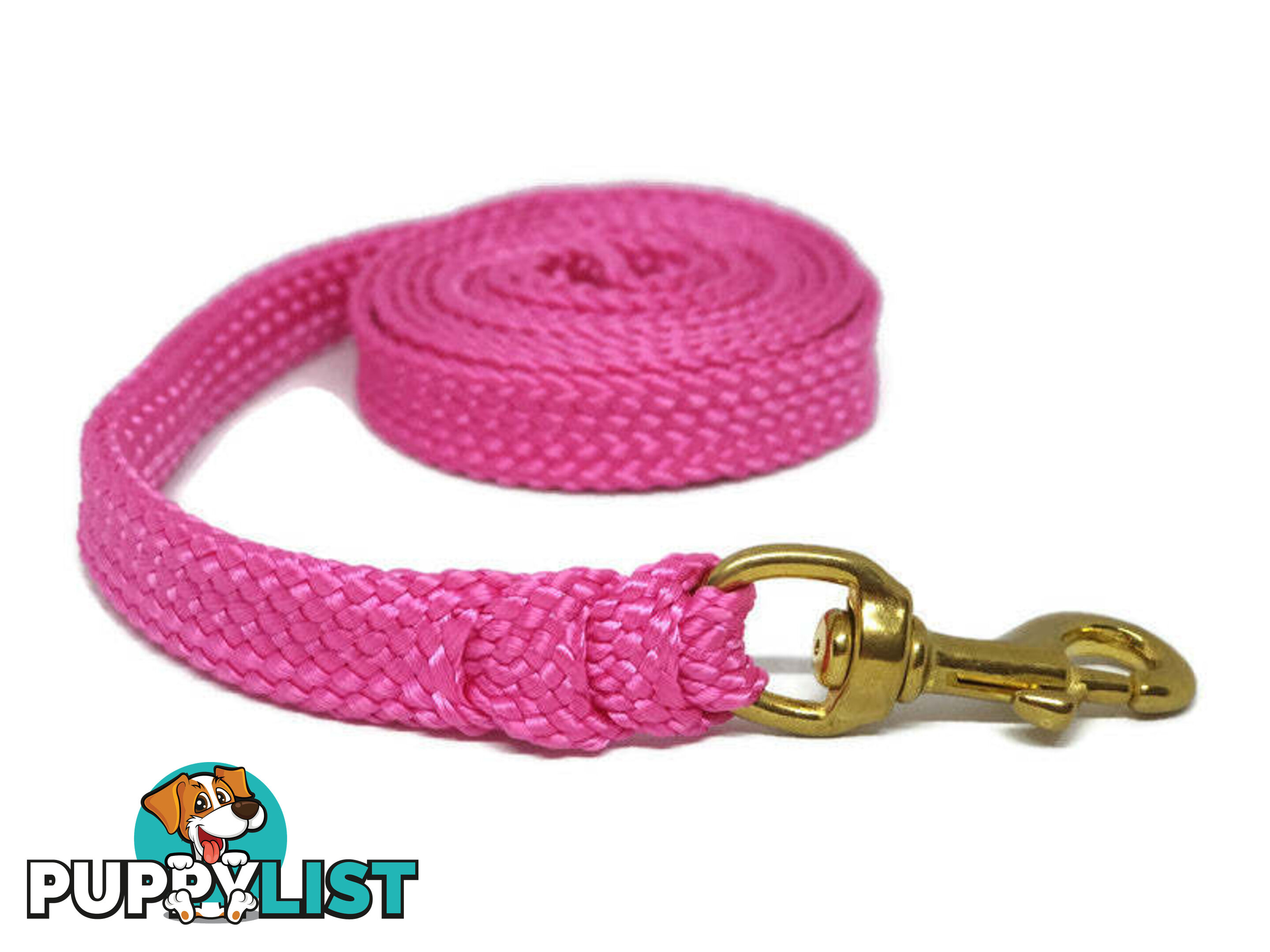 1.8m to 10m Long Dog Lead No Stitching Tough Yarnix 20mm Wide - YNXLD2010SSBLU