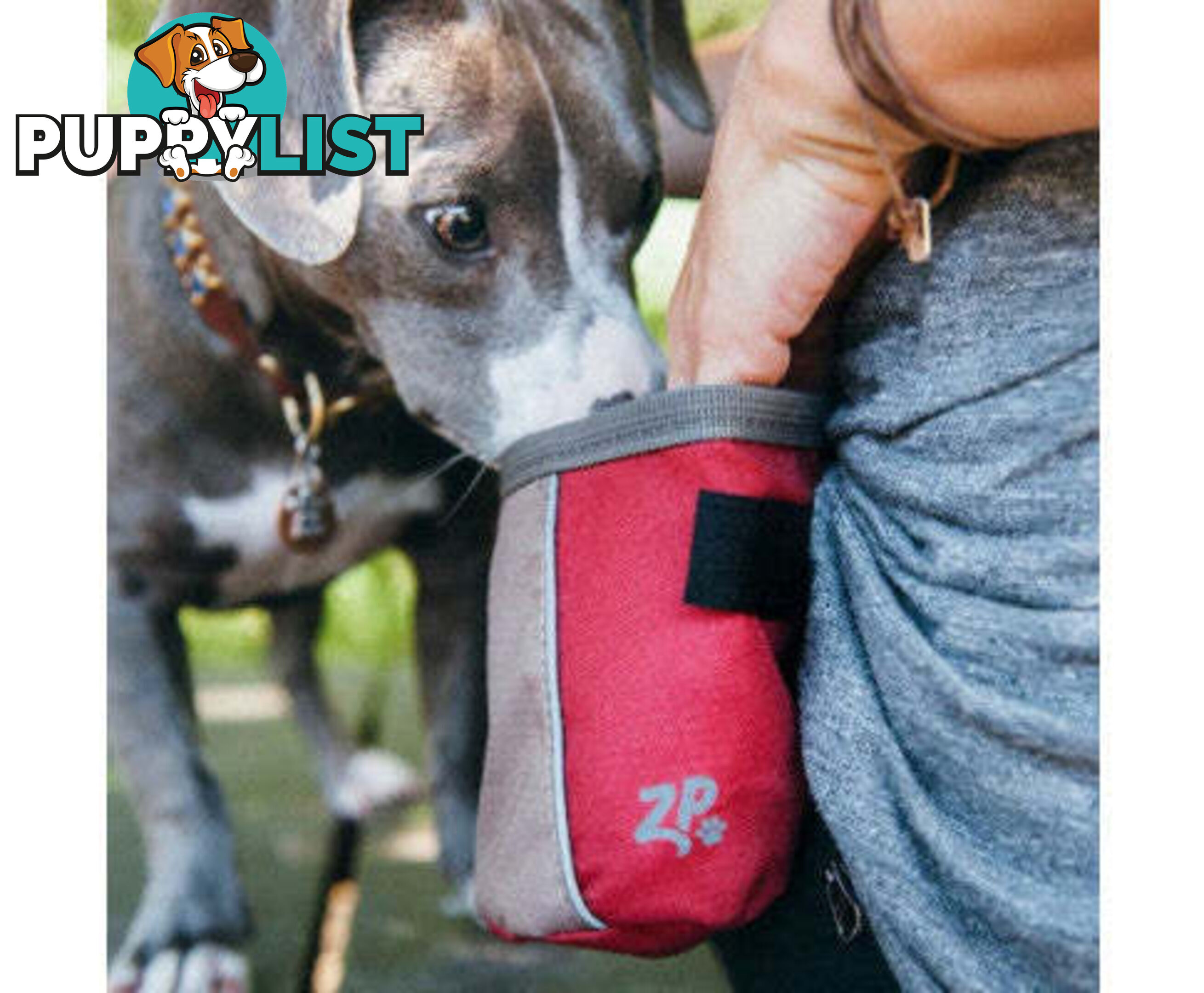 Zippy Paws Treat bag - V256-ZP494