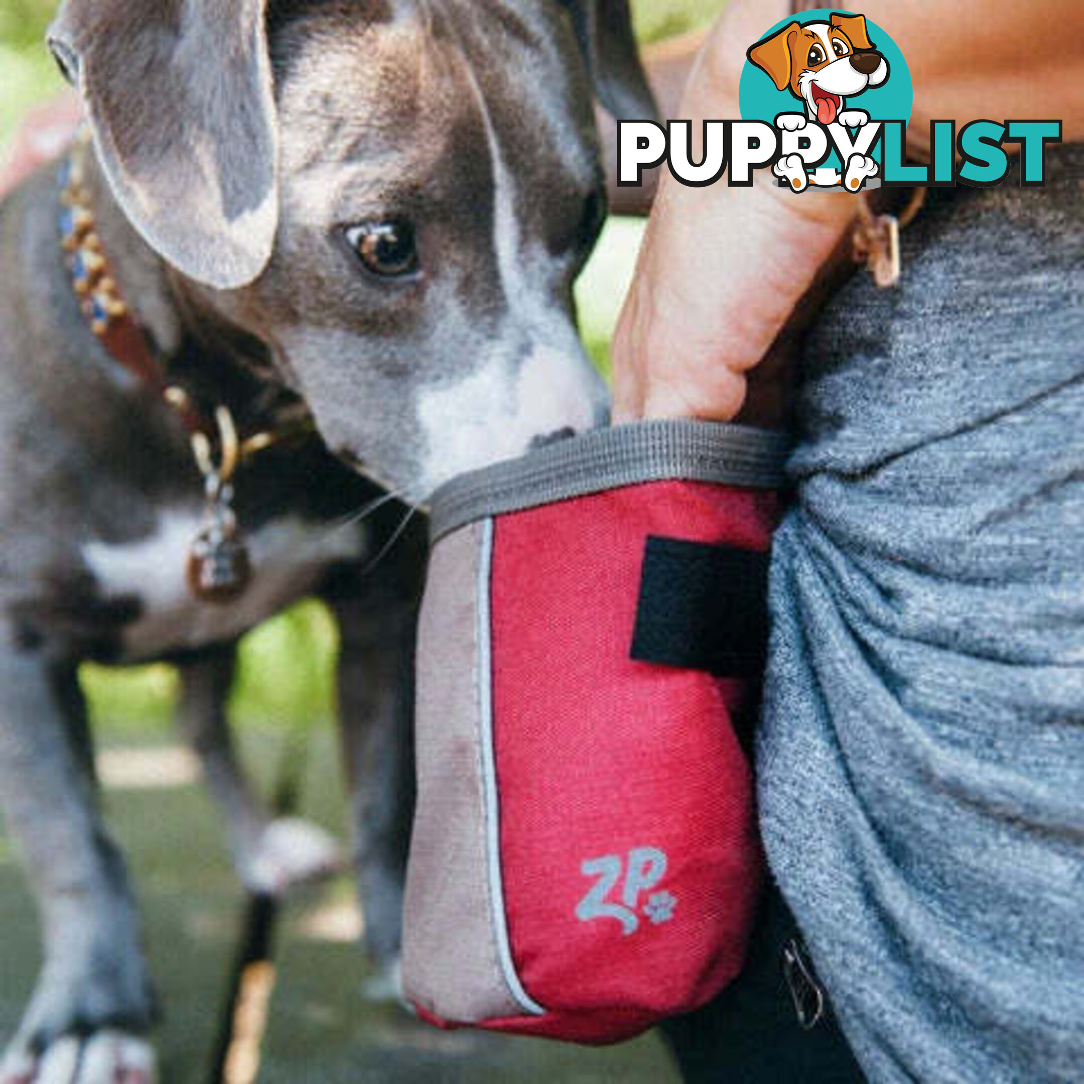 Zippy Paws Treat bag Desert Red - V256-ZP494