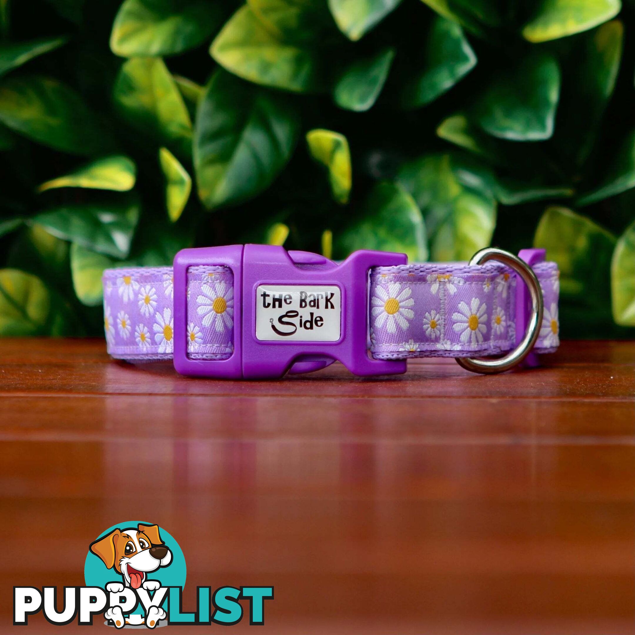 Daisy Dog Collar -  Hand Made by The Bark Side - TBSDAIXSLAV