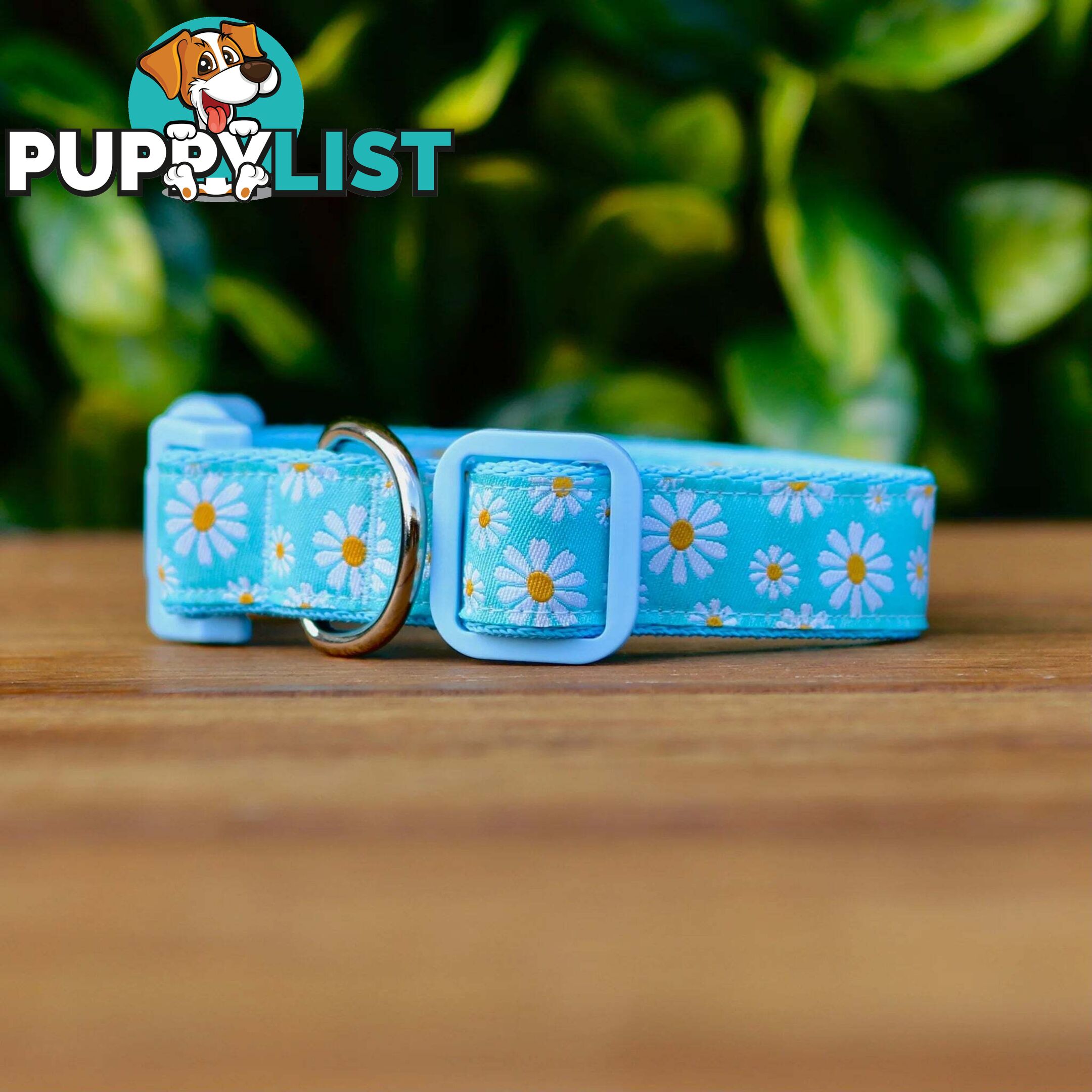 Daisy Dog Collar -  Hand Made by The Bark Side - TBSDAIXSLAV