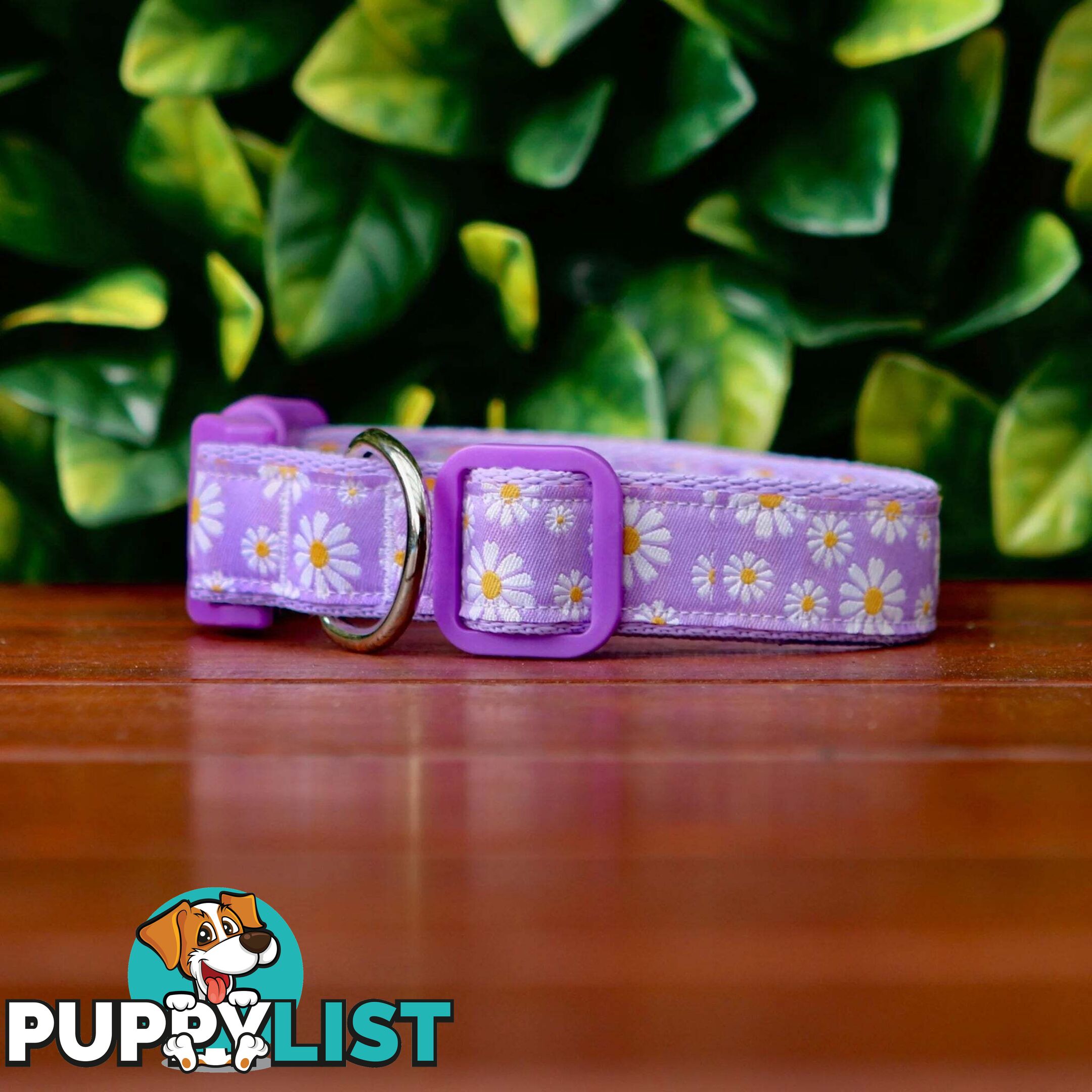 Daisy Dog Collar -  Hand Made by The Bark Side - TBSDAIXSLAV