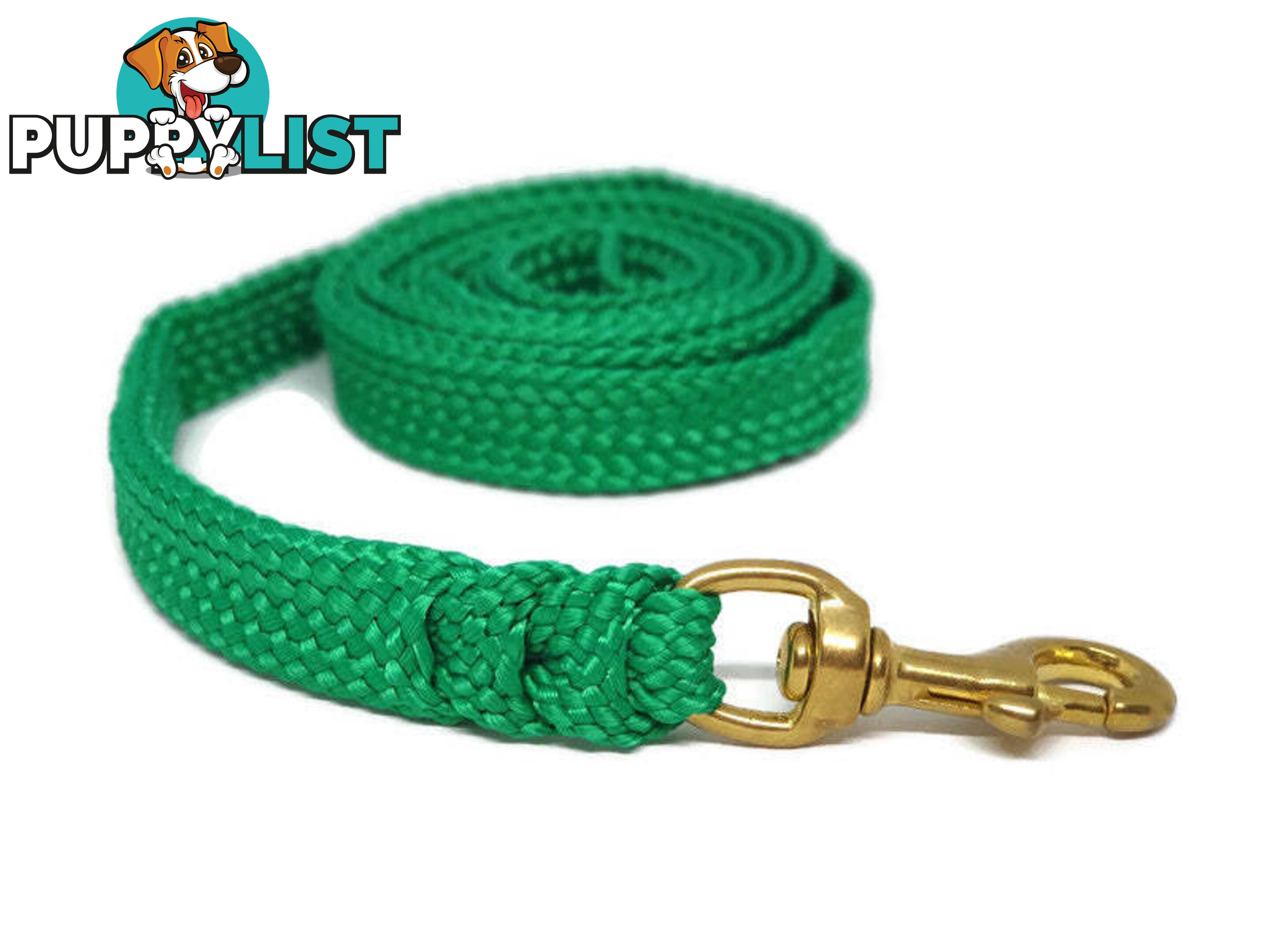 1.8m to 10m Long Dog Lead No Stitching Tough Yarnix 20mm Wide - YNXLD205SSREDGRN