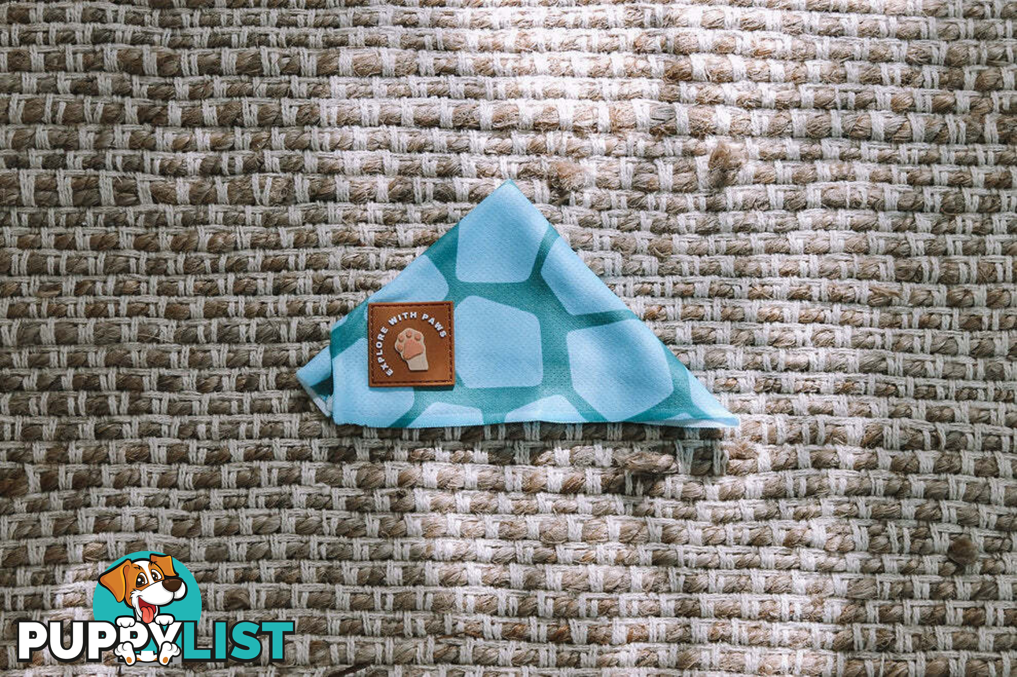Designer Dog Bandana's by Explore with Paws - EWPBANMPNK