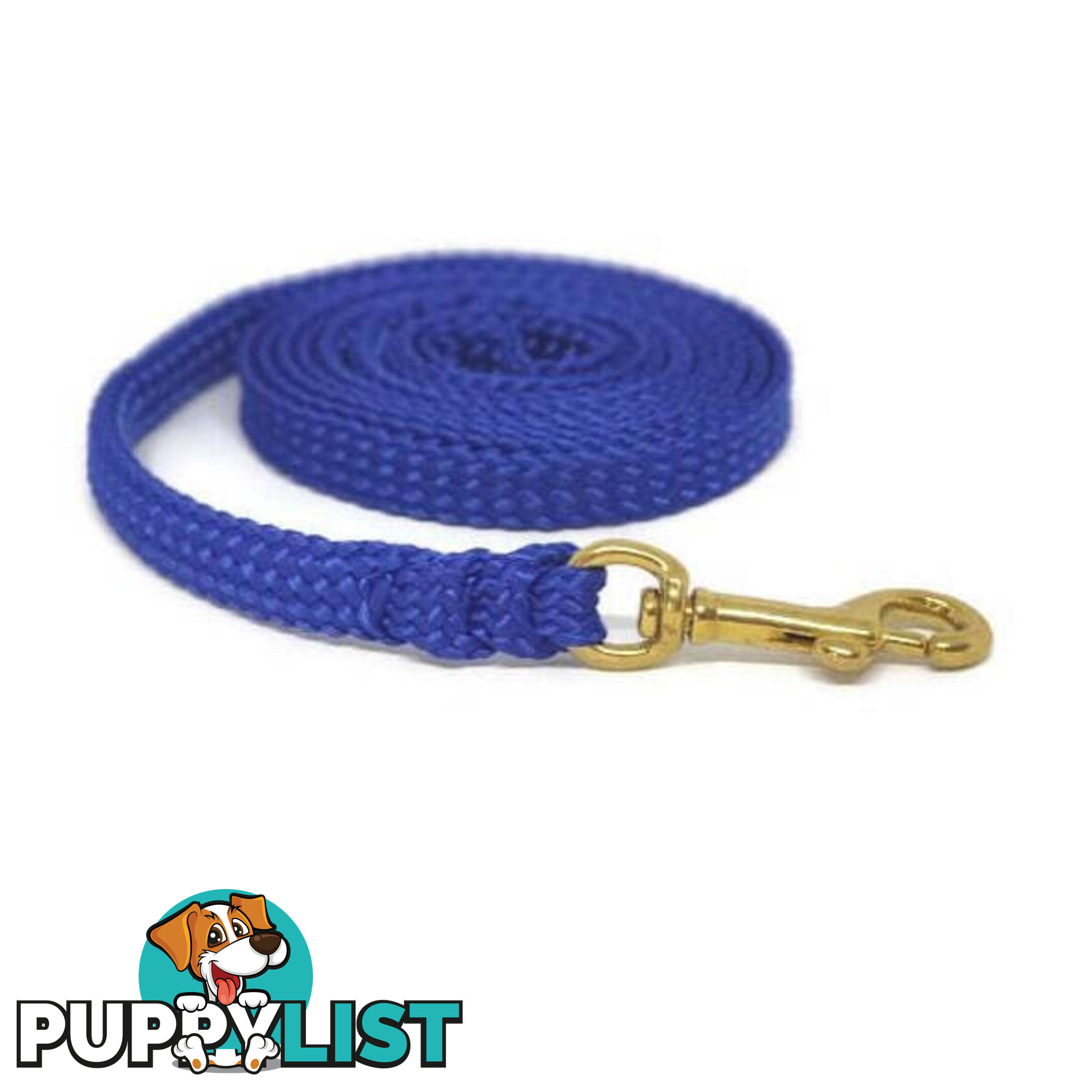 1.8m to 10m Long Dog Lead No Stitching Tough Yarnix 10mm Wide - YNXLD10-5-GRN-SS