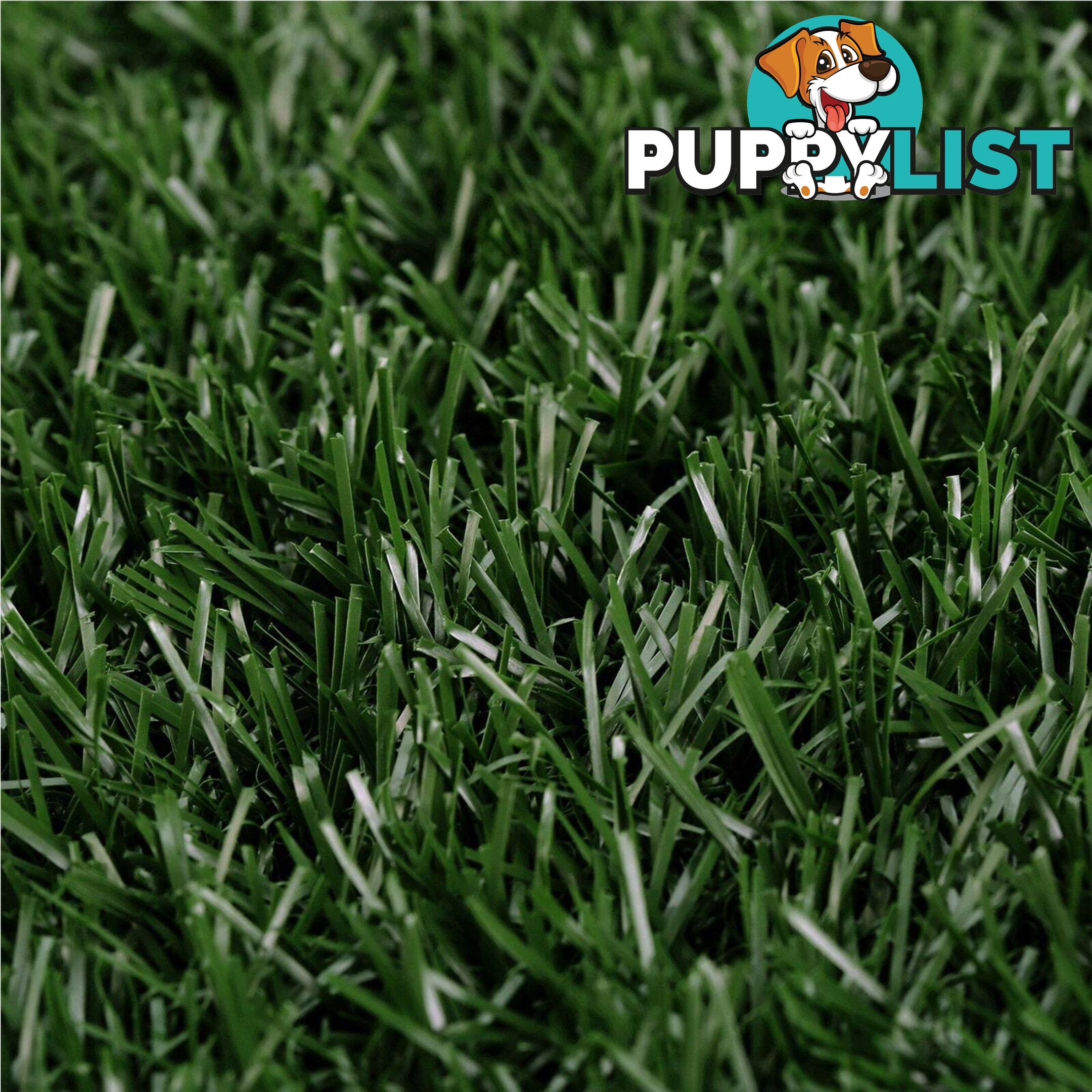 Pet Dog Potty Tray Training Toilet + 1 Grass Mat 63cm x 50cm - V274-PET-HH208A-1MAT