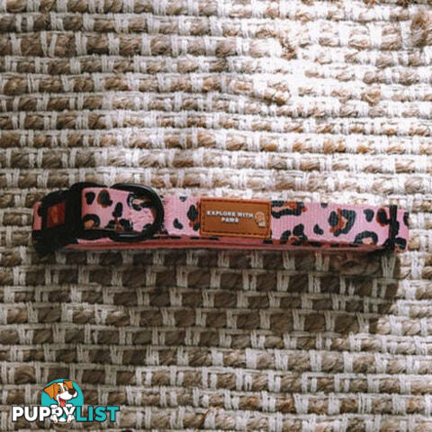 Designer Dog Collars by Explore with Paws - EWPCOLLTURN