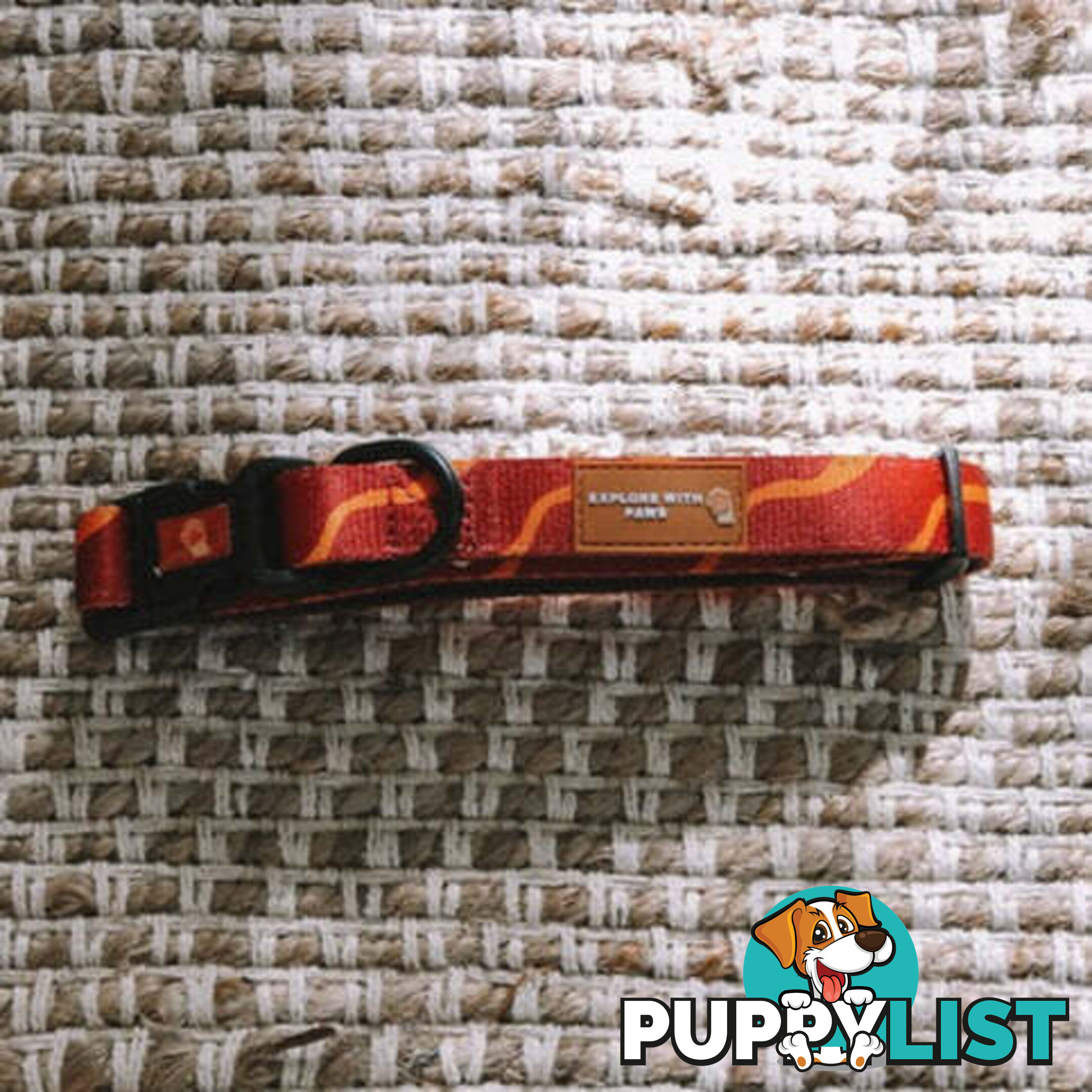 Designer Dog Collars by Explore with Paws - EWPCOLLTURN