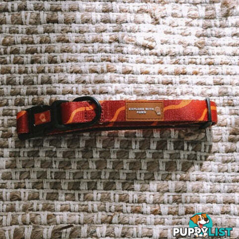 Designer Dog Collars by Explore with Paws - EWPCOLLTURN
