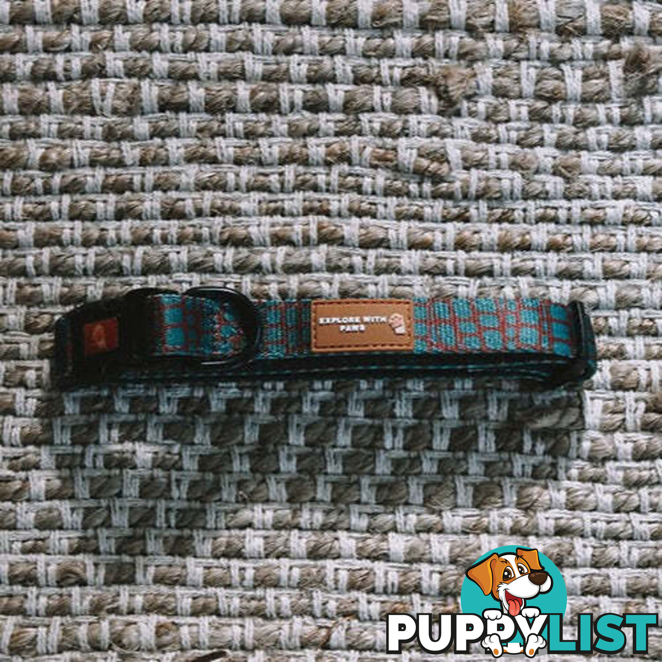 Designer Dog Collars by Explore with Paws - EWPCOLLTURN