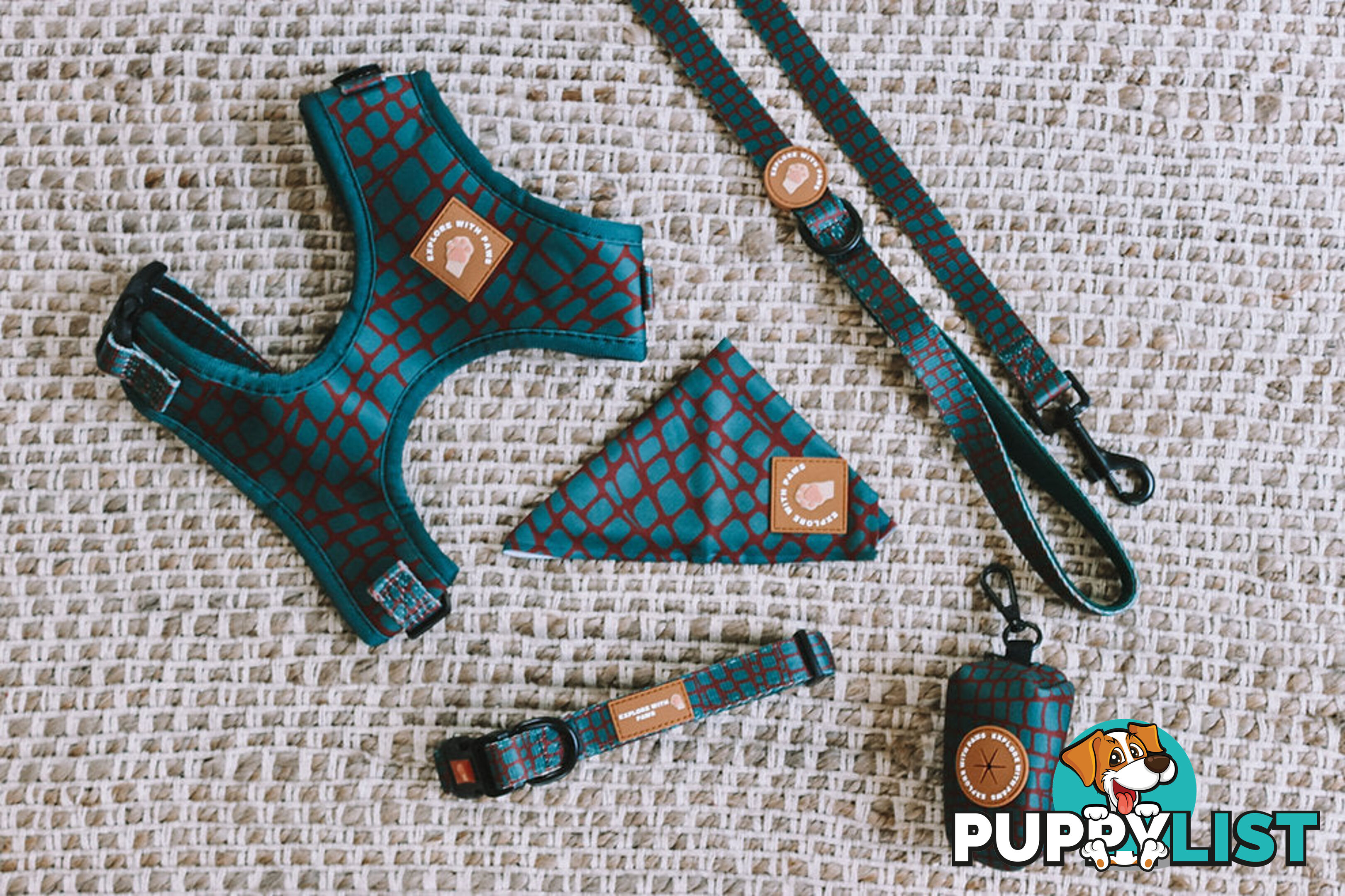 Designer Dog Collars by Explore with Paws - EWPCOLLTURN