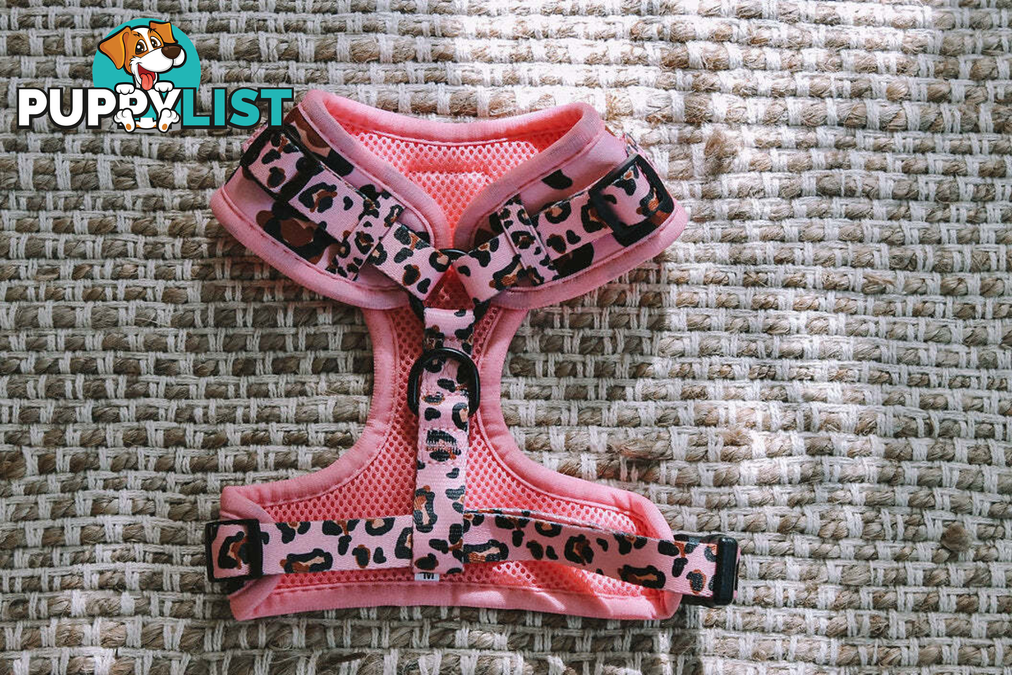 Designer Dog Harness by Explore with Paws - EWPHARCROSN