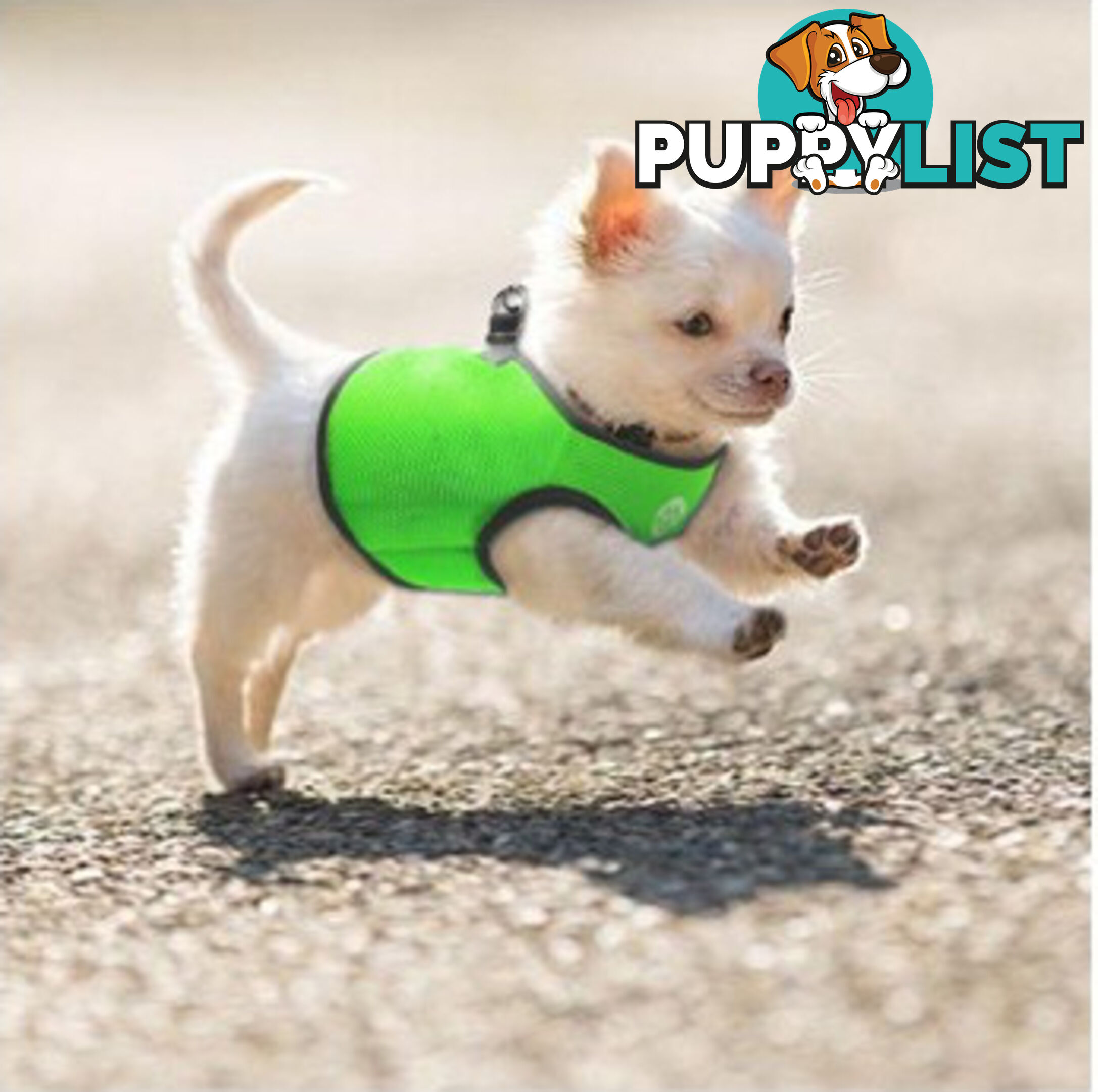 Vest Harness Pet Dog-Cat Step-in Velcro and Buckle Attachments - Moondidley Pets - MDPVESTXLGRN