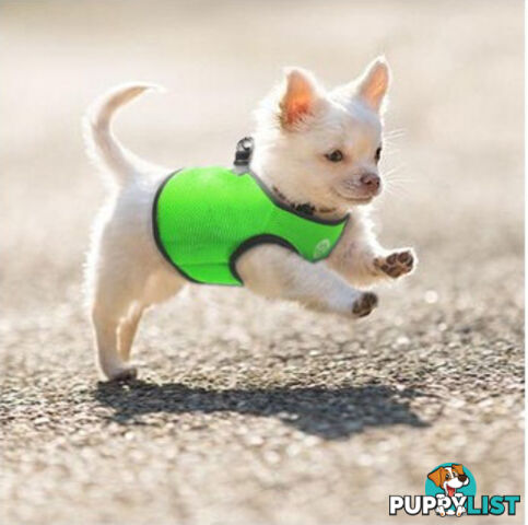 Vest Harness Pet Dog-Cat Step-in Velcro and Buckle Attachments - Moondidley Pets - MDPVESTXLGRN