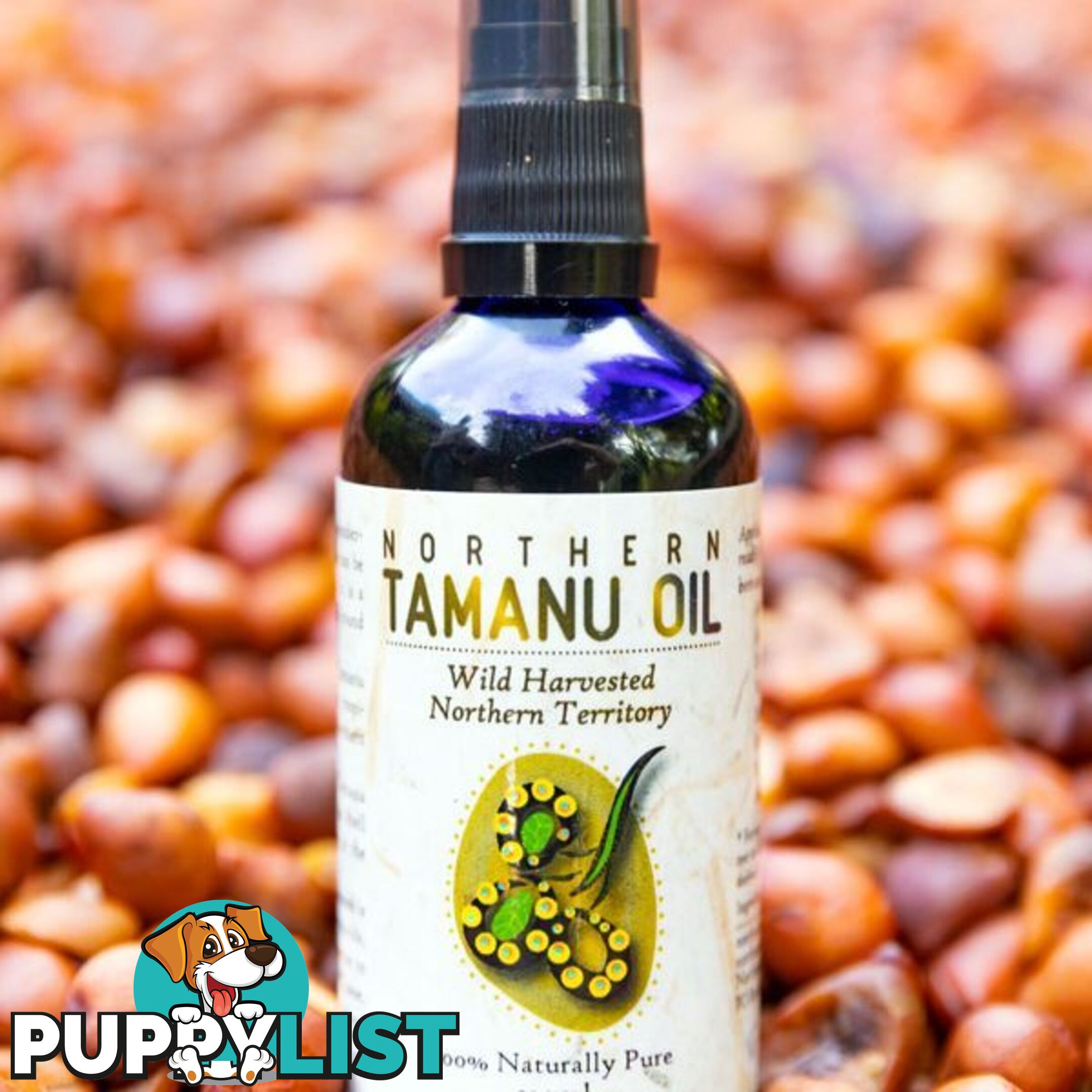 Northern Tamanu Oil - Anti-inflammatory - NTO50