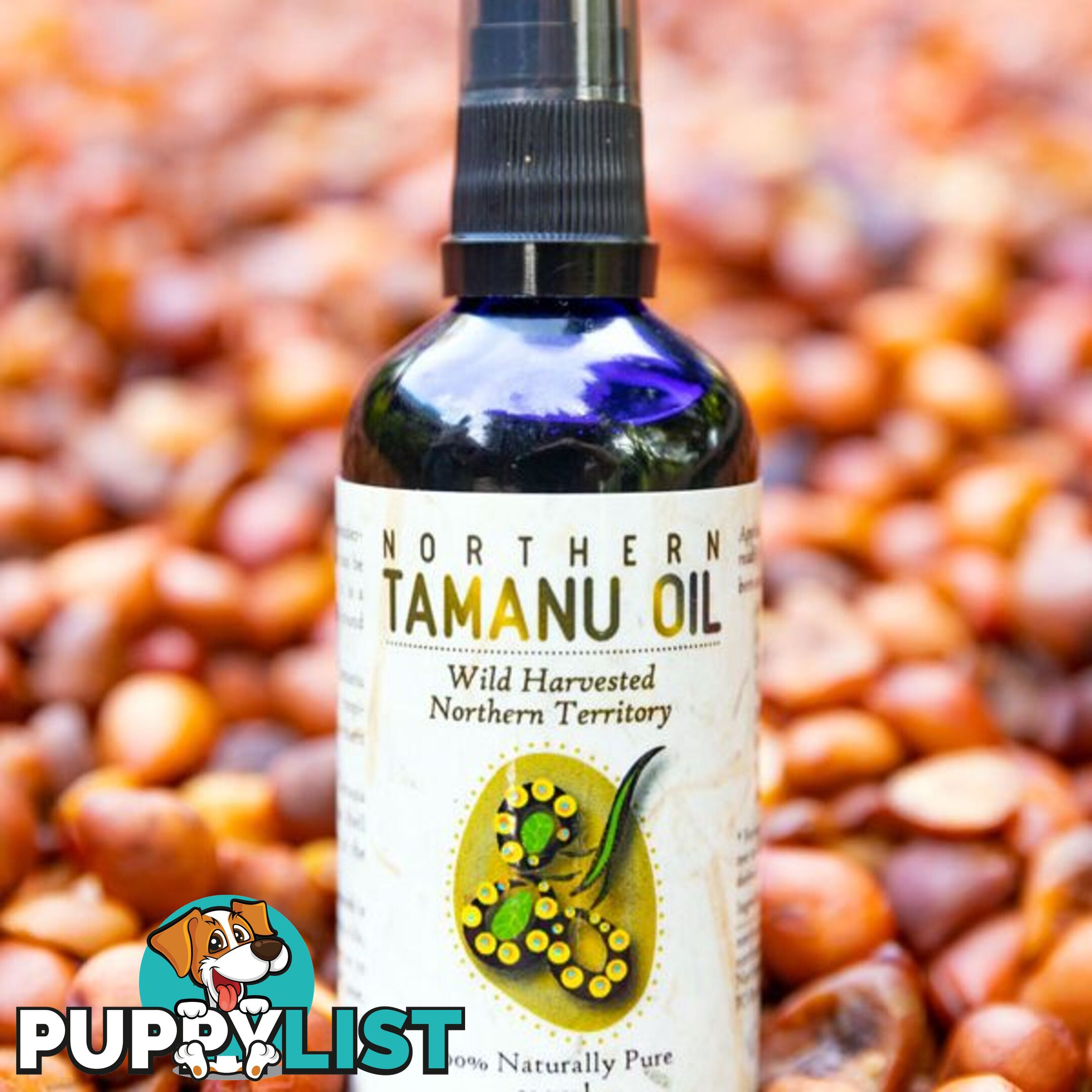 Northern Tamanu Oil - Anti-inflammatory - NTO50