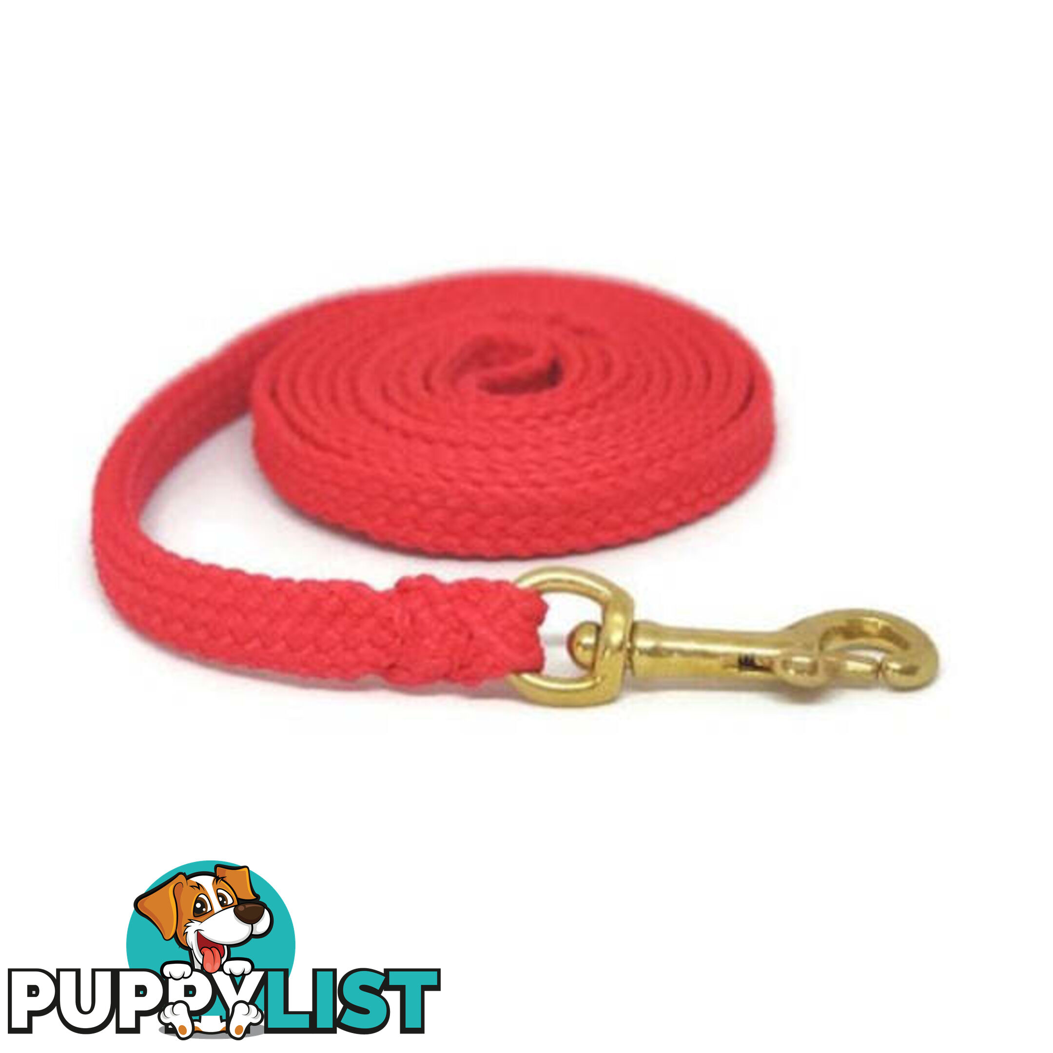 1.8m to 10m Long Dog Lead No Stitching Tough Yarnix 10mm Wide - YNXLD10-1.8-BL-BR