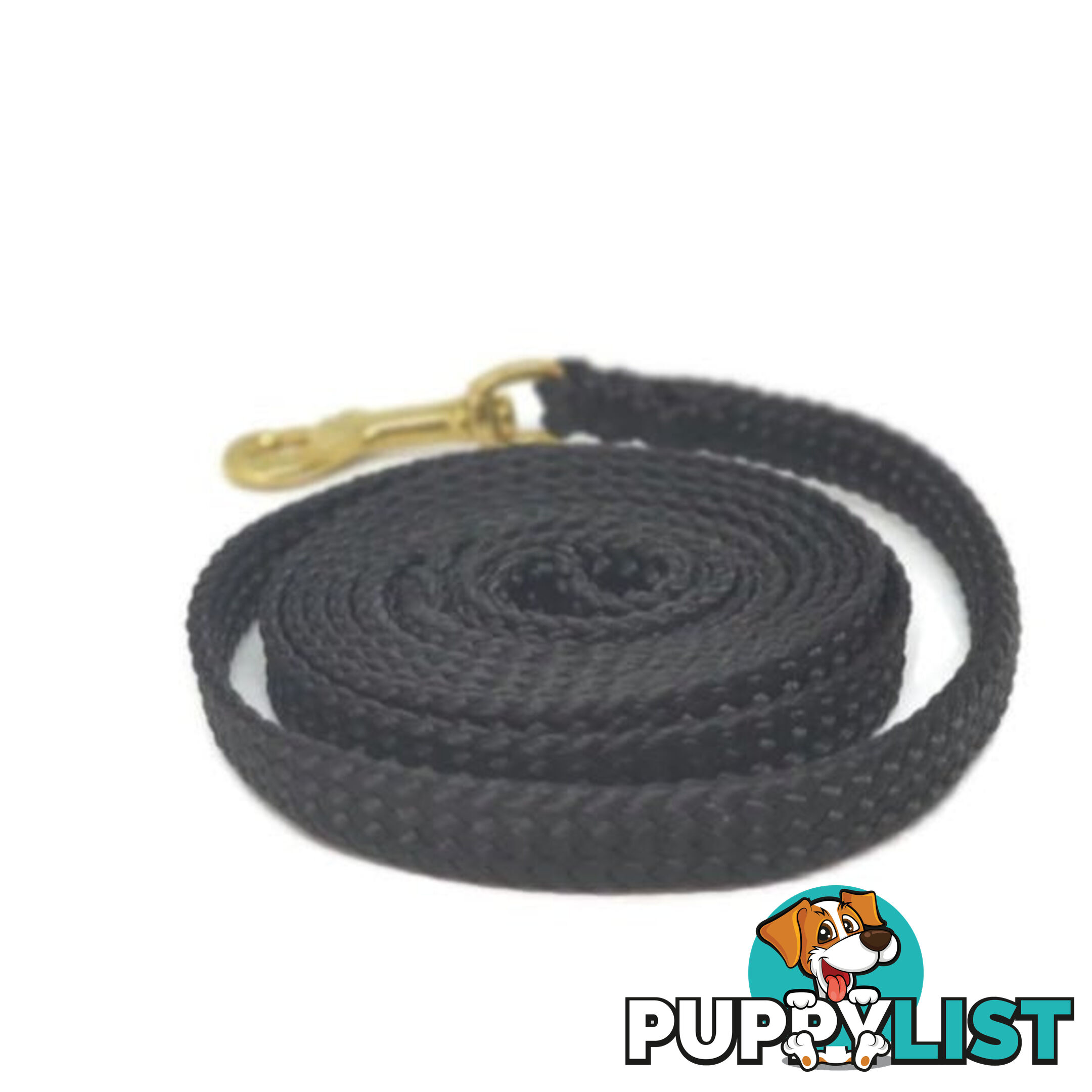 1.8m to 10m Long Dog Lead No Stitching Tough Yarnix 10mm Wide - YNXLD10-1.8-BL-BR