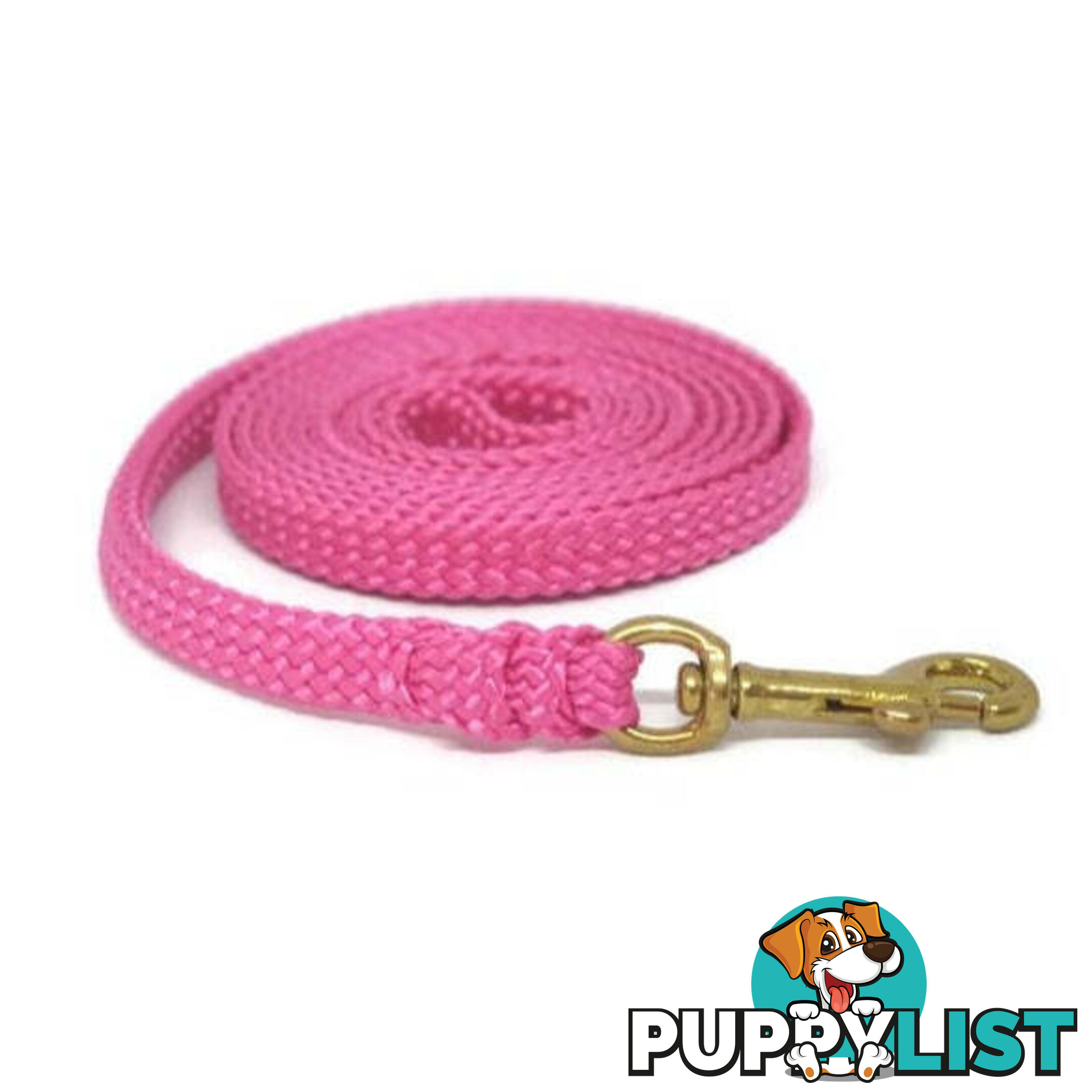 1.8m to 10m Long Dog Lead No Stitching Tough Yarnix 10mm Wide - YNXLD10-1.8-BL-BR