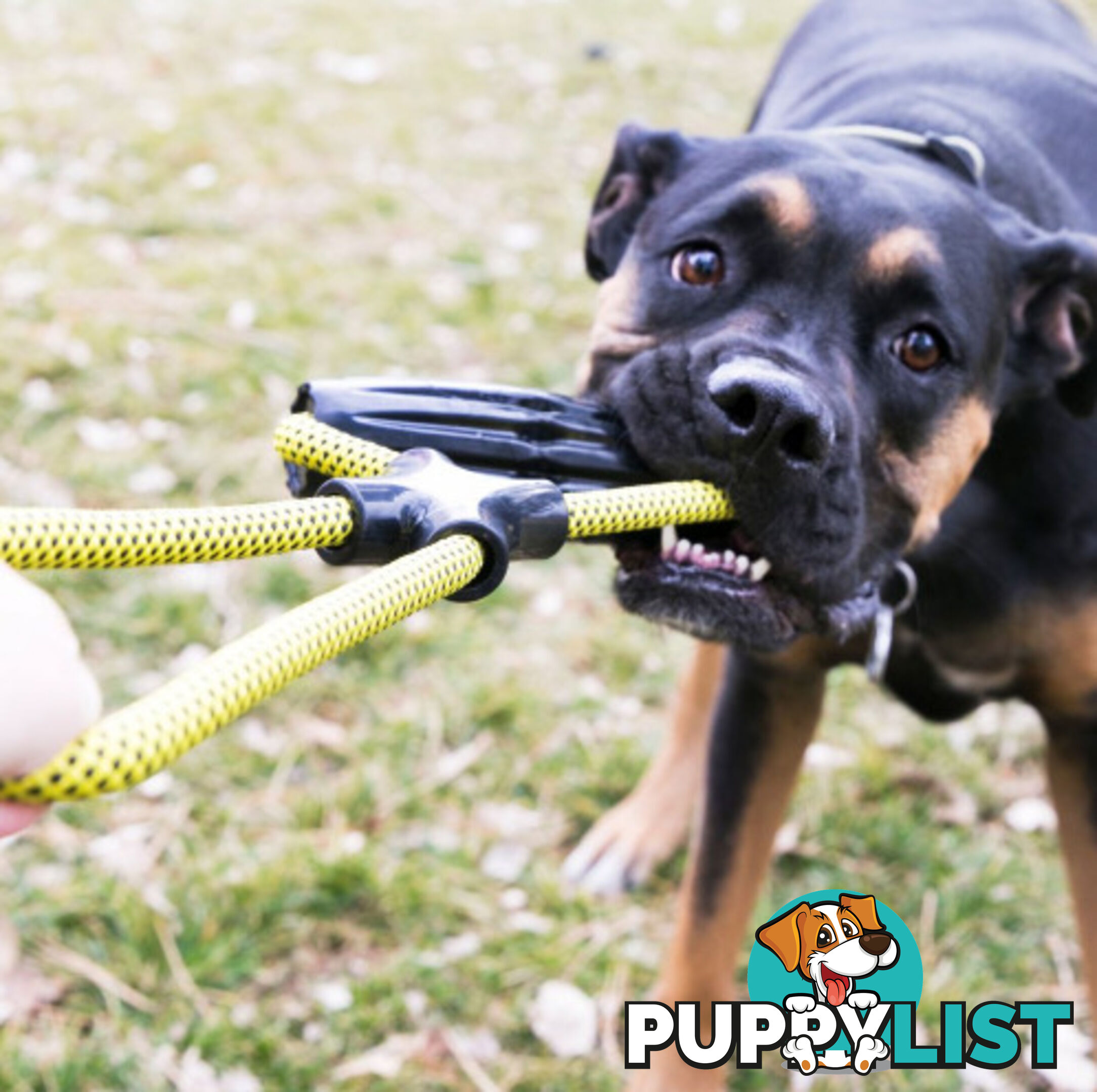 KONG Jaxx Infinity Tug Large Dog Rope Toy - WPS-DAK9300