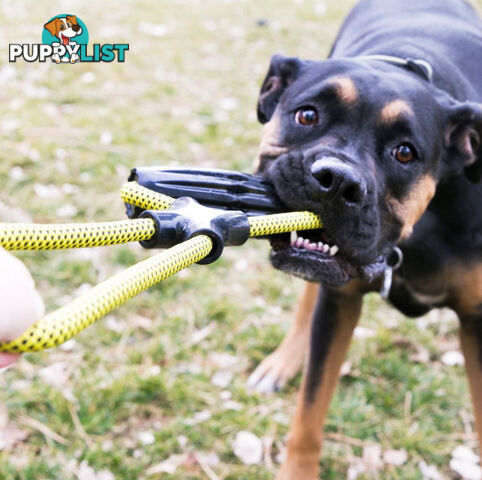 KONG Jaxx Infinity Tug Large Dog Rope Toy - WPS-DAK9300