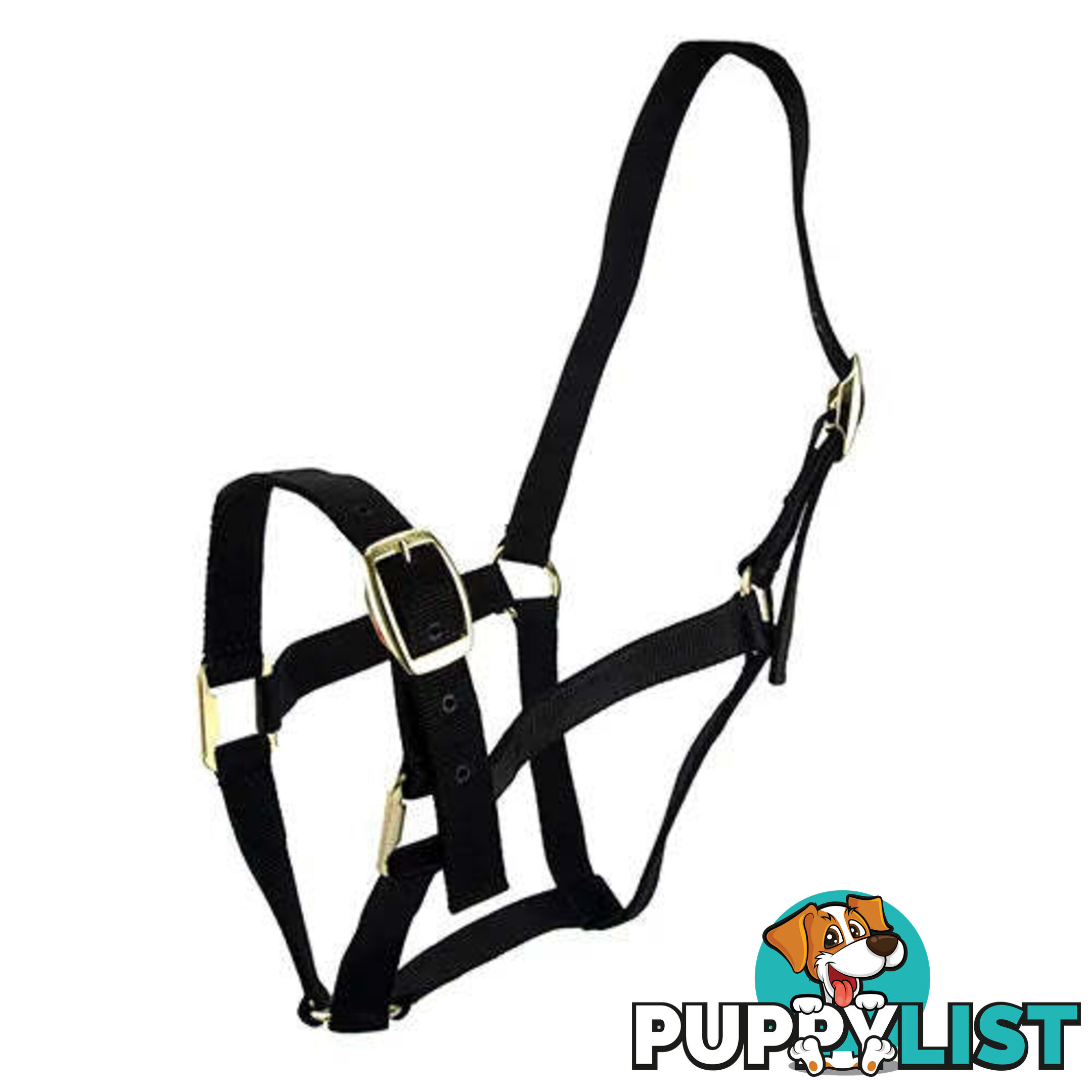 Click to Enlarge HORSE HALTERS - BAINBRIDGE - BB-A2196-BLU