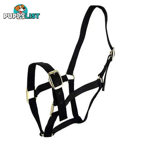 Click to Enlarge HORSE HALTERS - BAINBRIDGE - BB-A2196-BLU