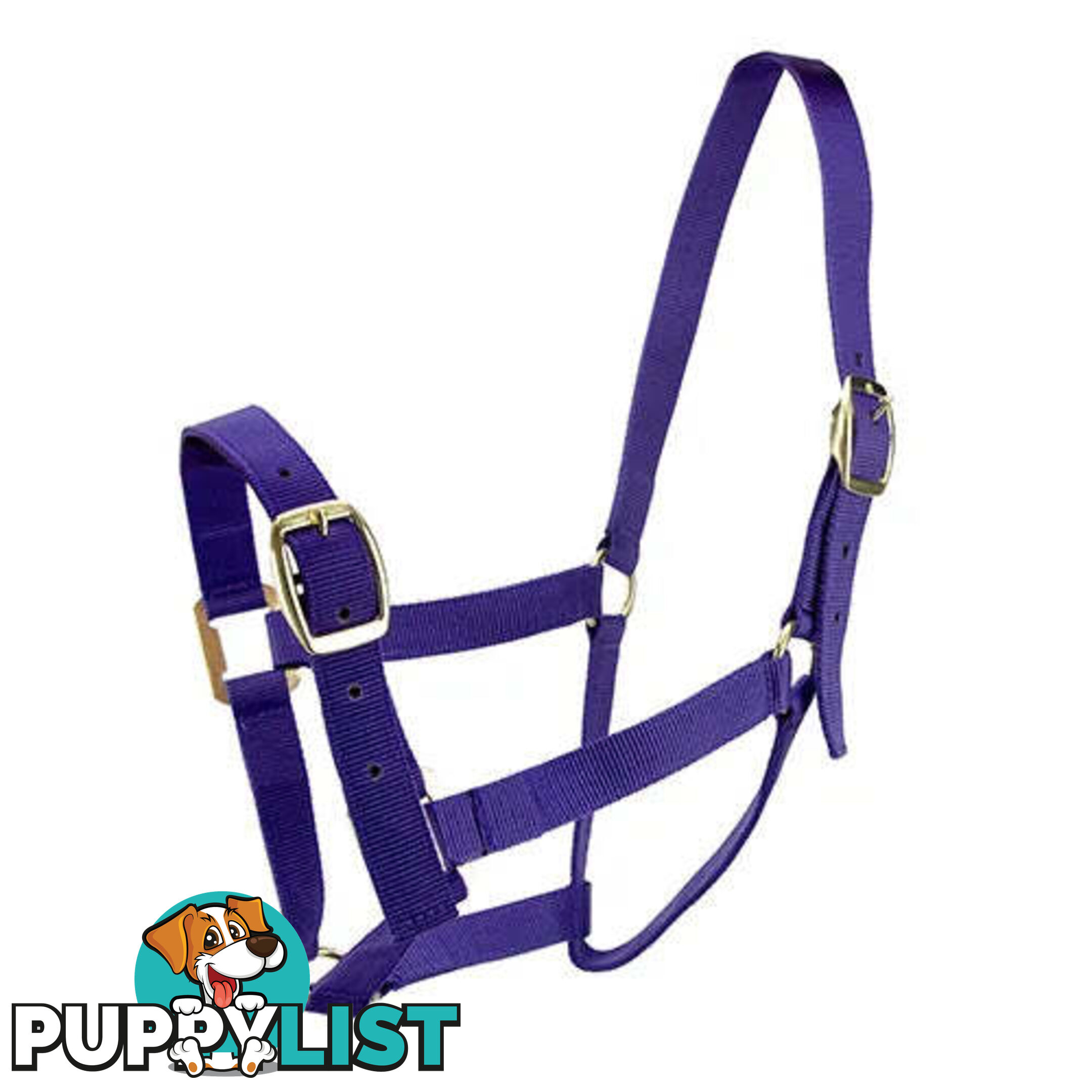Click to Enlarge HORSE HALTERS - BAINBRIDGE - BB-A2196-BLU