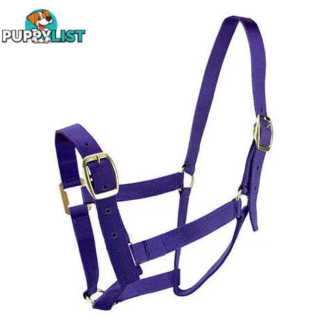 Click to Enlarge HORSE HALTERS - BAINBRIDGE - BB-A2196-BLU