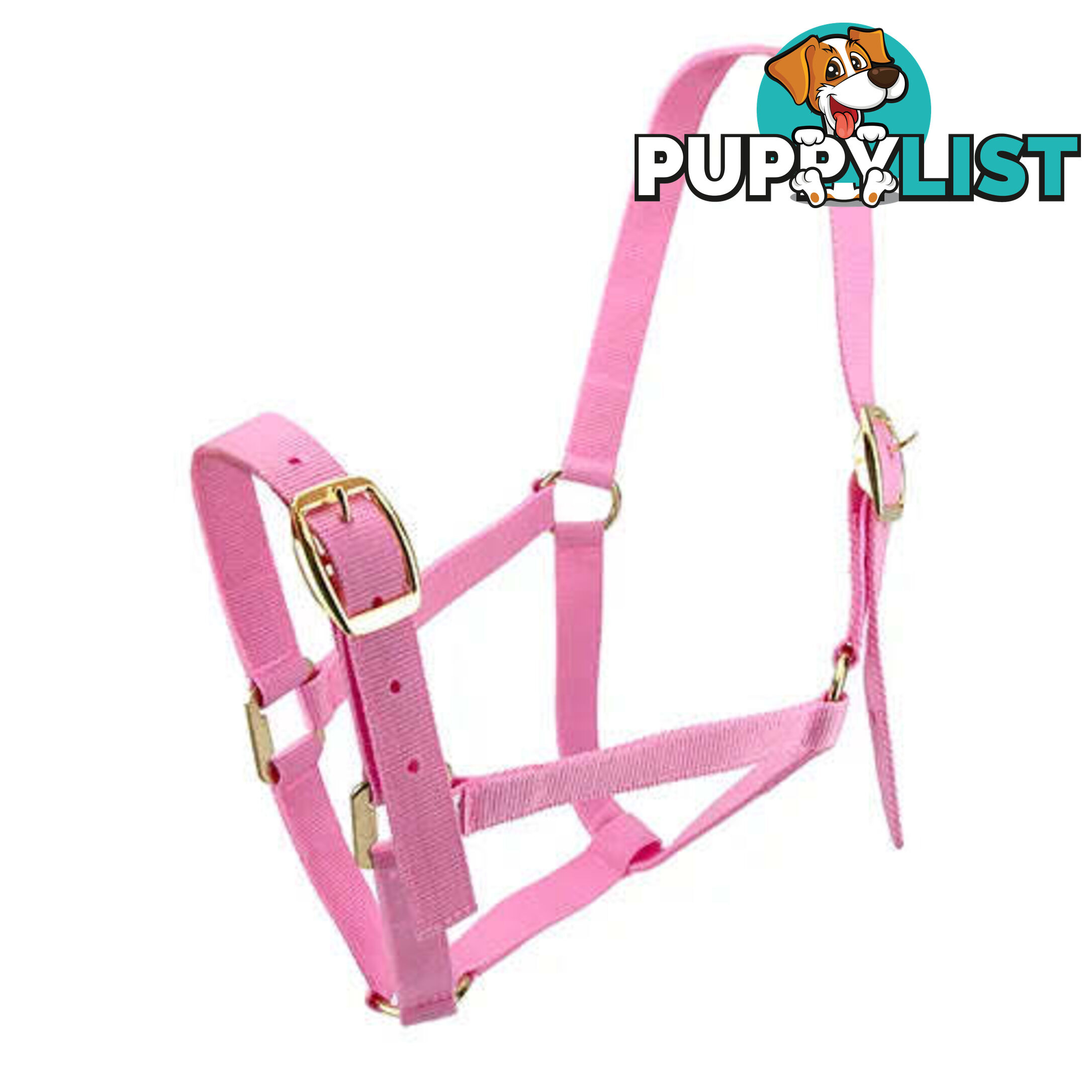 Click to Enlarge HORSE HALTERS - BAINBRIDGE - BB-A2196-BLU