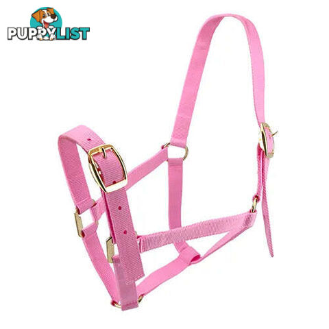 Click to Enlarge HORSE HALTERS - BAINBRIDGE - BB-A2196-BLU
