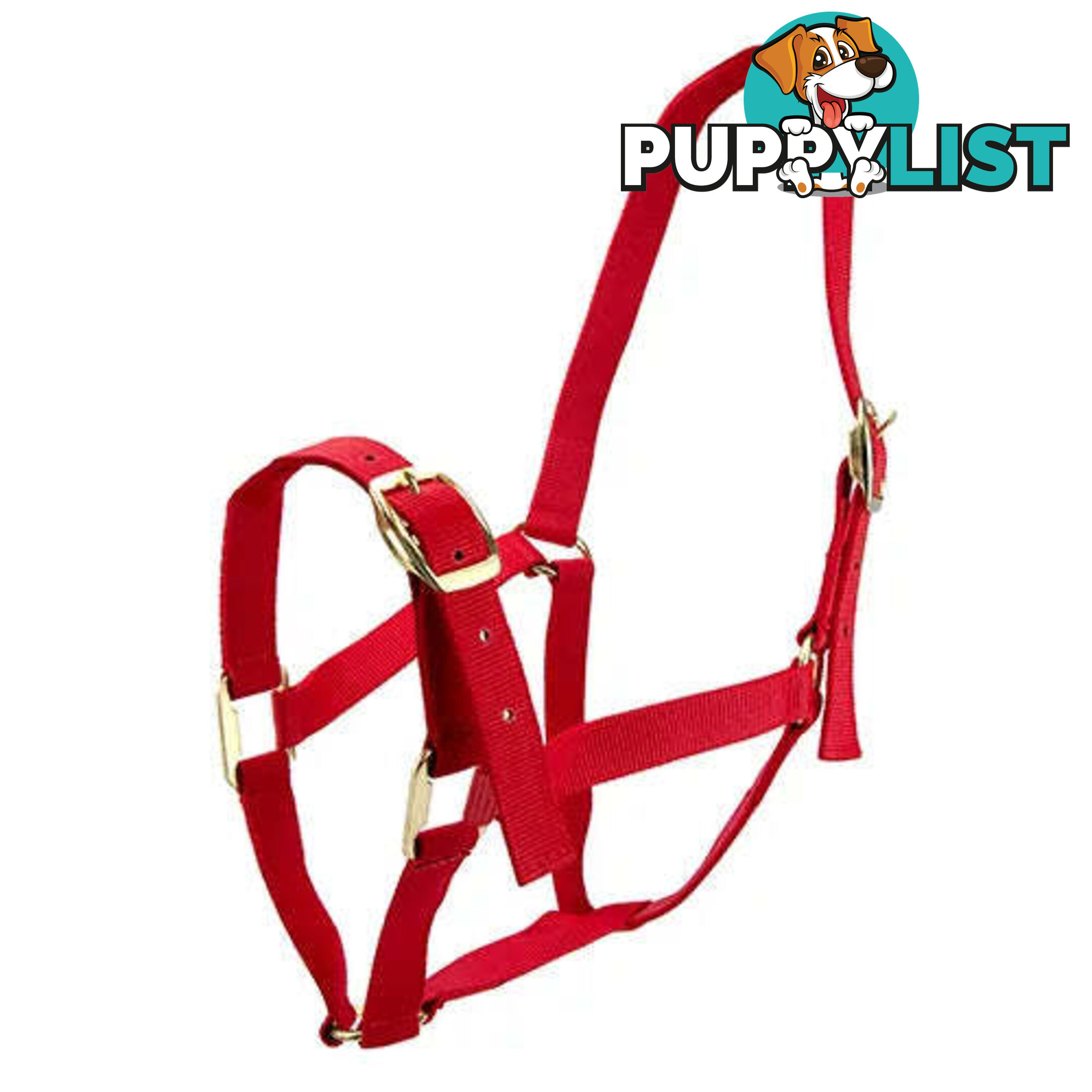 Click to Enlarge HORSE HALTERS - BAINBRIDGE - BB-A2196-BLU