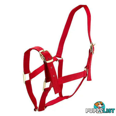 Click to Enlarge HORSE HALTERS - BAINBRIDGE - BB-A2196-BLU