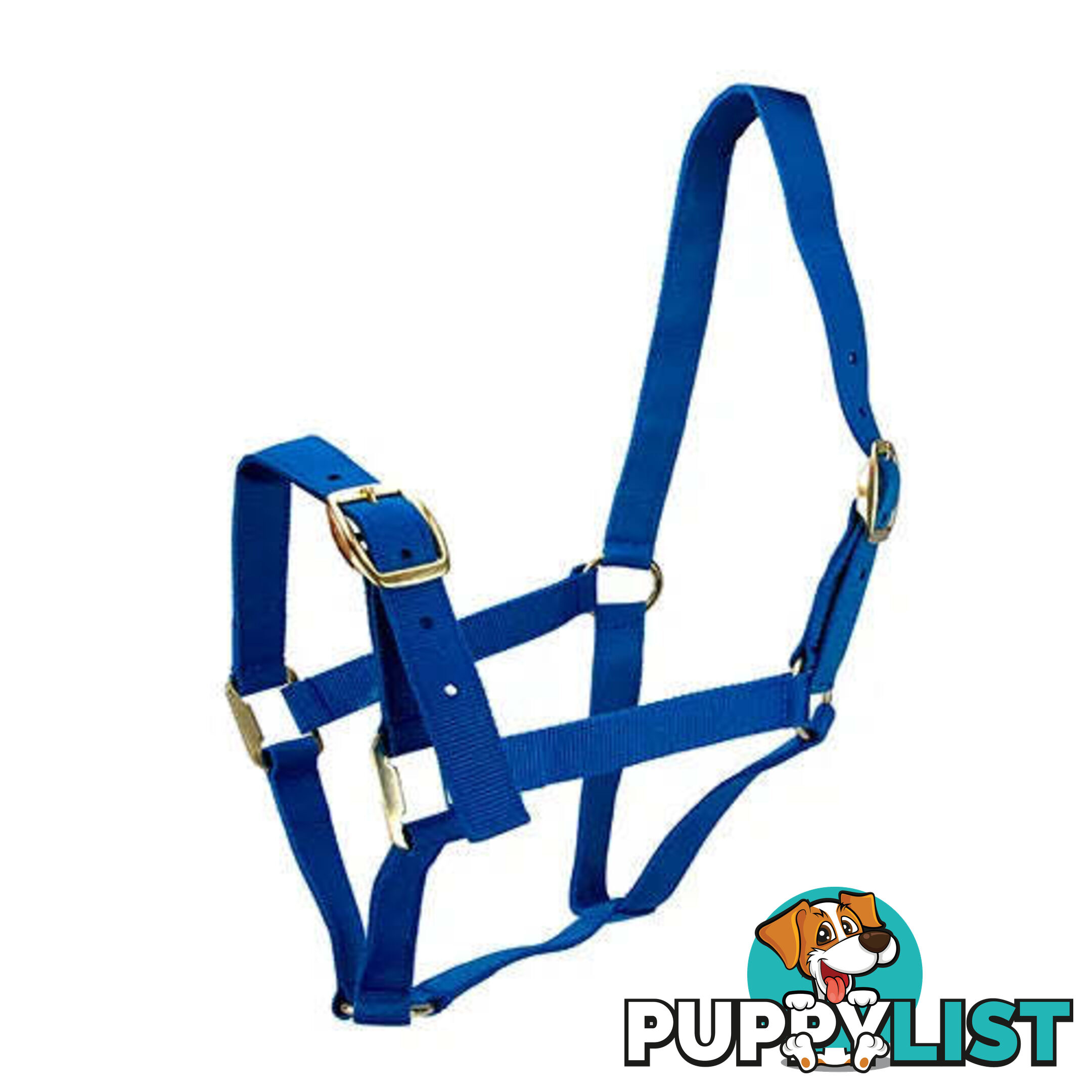 Click to Enlarge HORSE HALTERS - BAINBRIDGE - BB-A2196-BLU