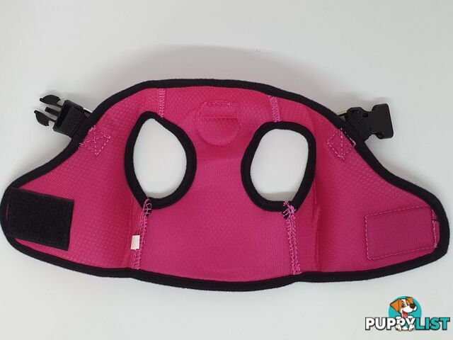Doggie ID Vest Soft Air Mesh Personlised Embroidered - MDPIDVESXLLBLU
