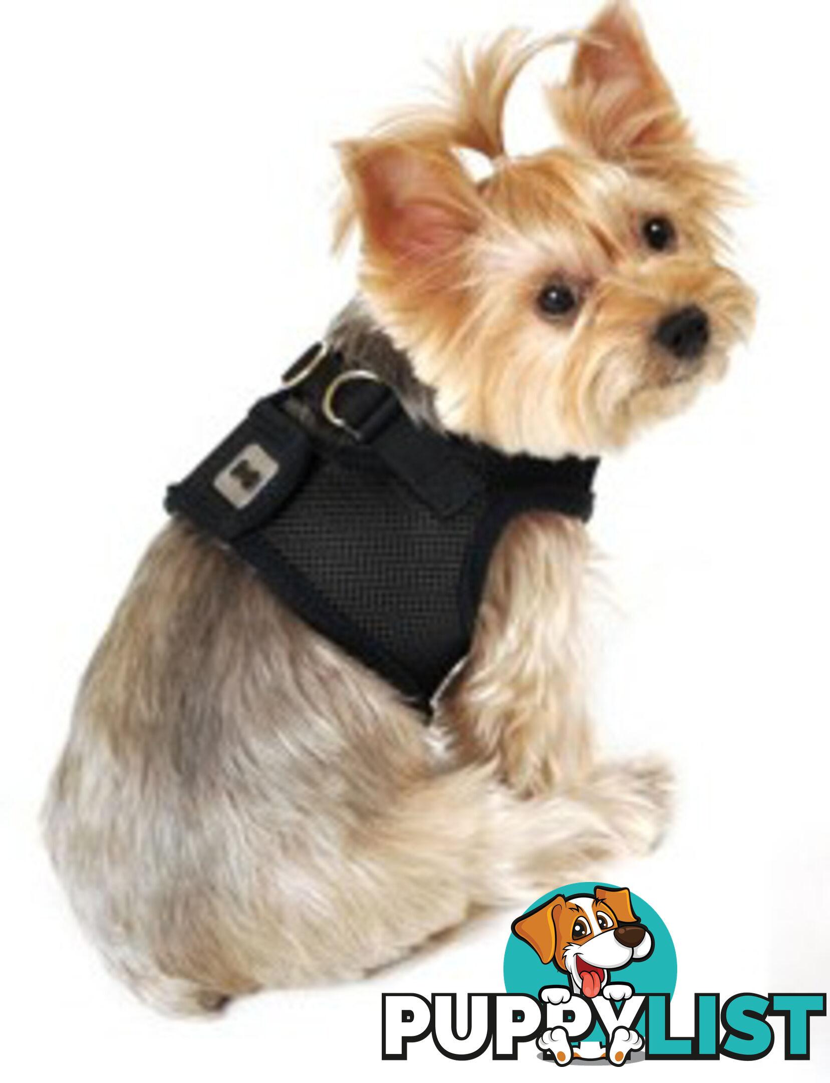 Doggie ID Vest Soft Air Mesh Personlised Embroidered - MDPIDVESXLLBLU