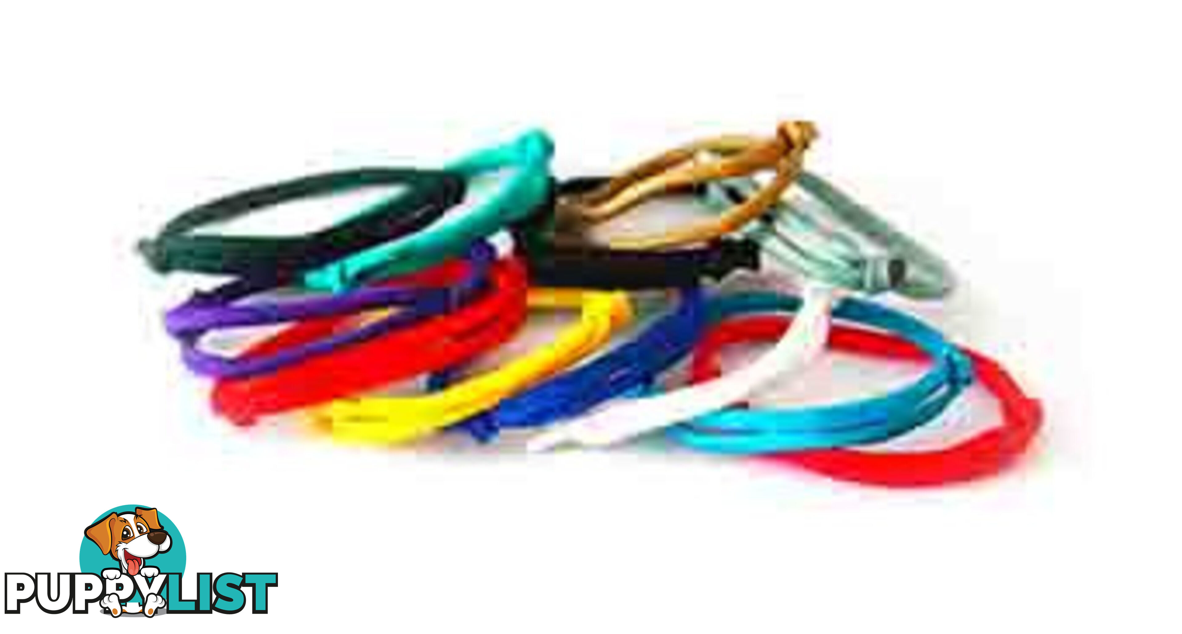 Identapup Paracord ID Collars Pk 12- Whelping Supplies - WSPUPID