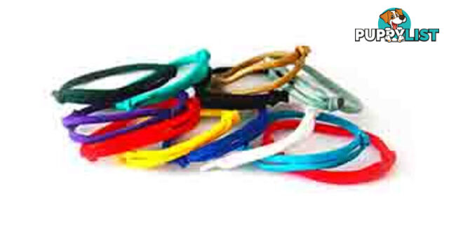 Identapup Paracord ID Collars Pk 12- Whelping Supplies - WSPUPID