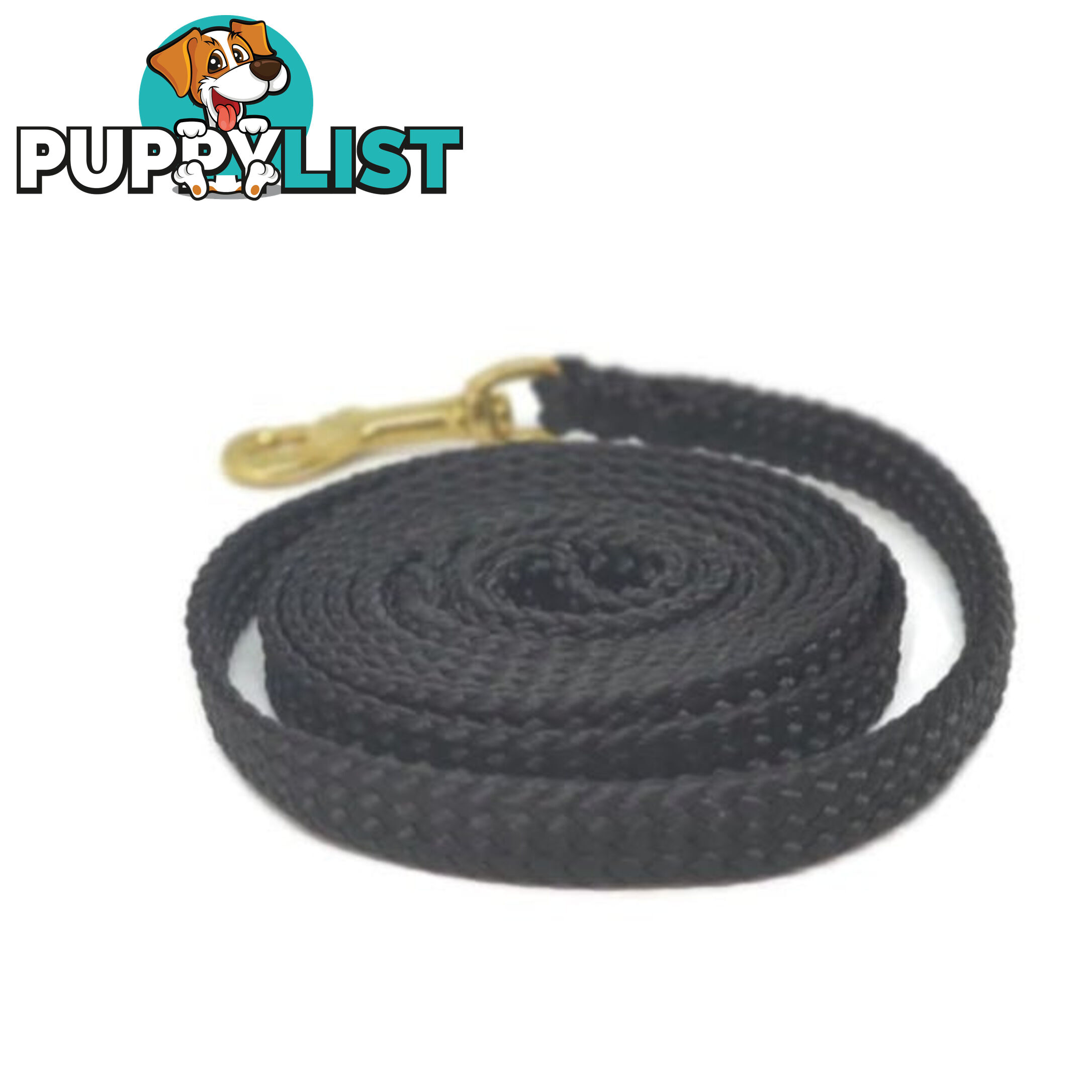 1.8m to 10m Long Dog Lead No Stitching Tough Yarnix 10mm Wide - YNXLD10-10-GR-SS