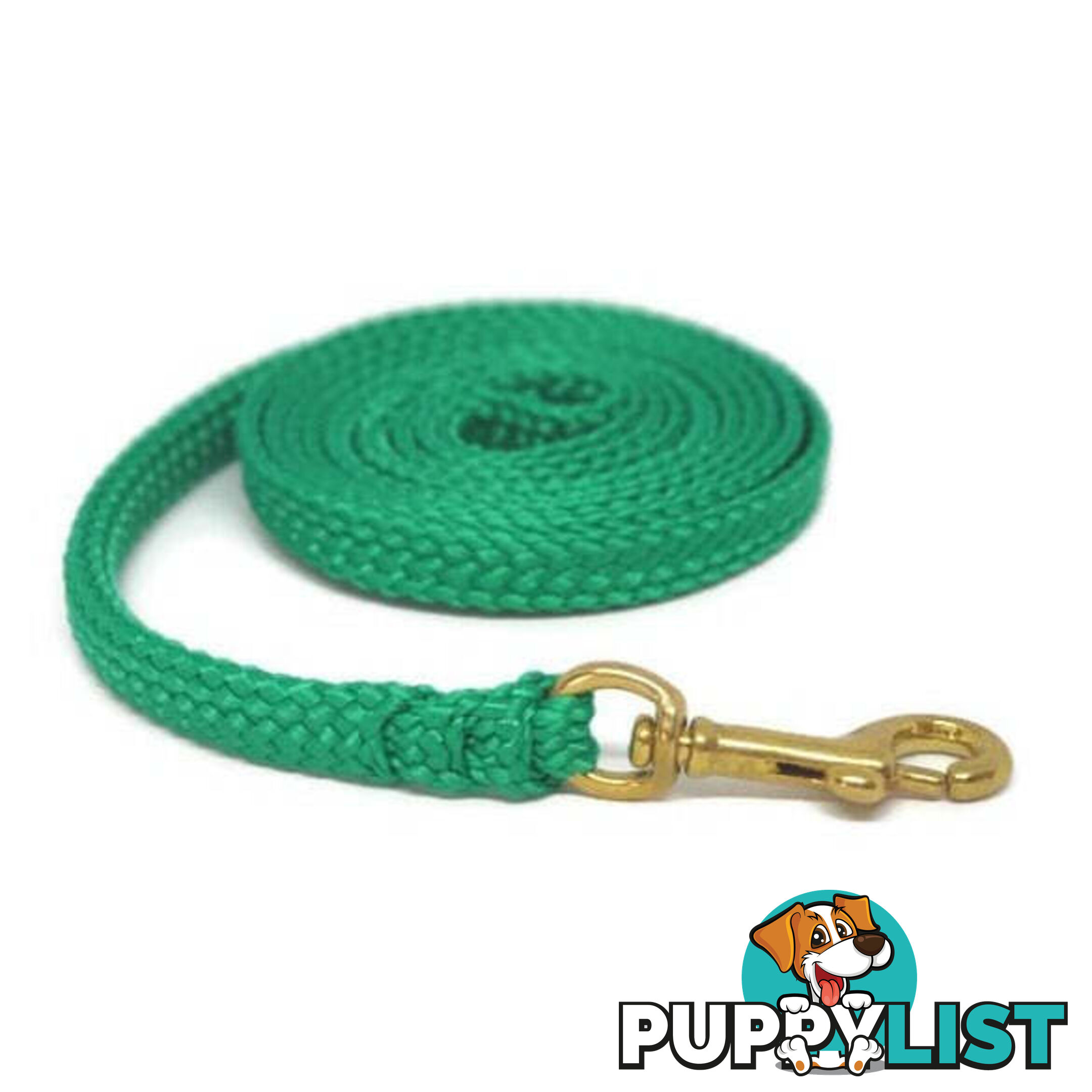 1.8m to 10m Long Dog Lead No Stitching Tough Yarnix 10mm Wide - YNXLD10-10-GR-SS