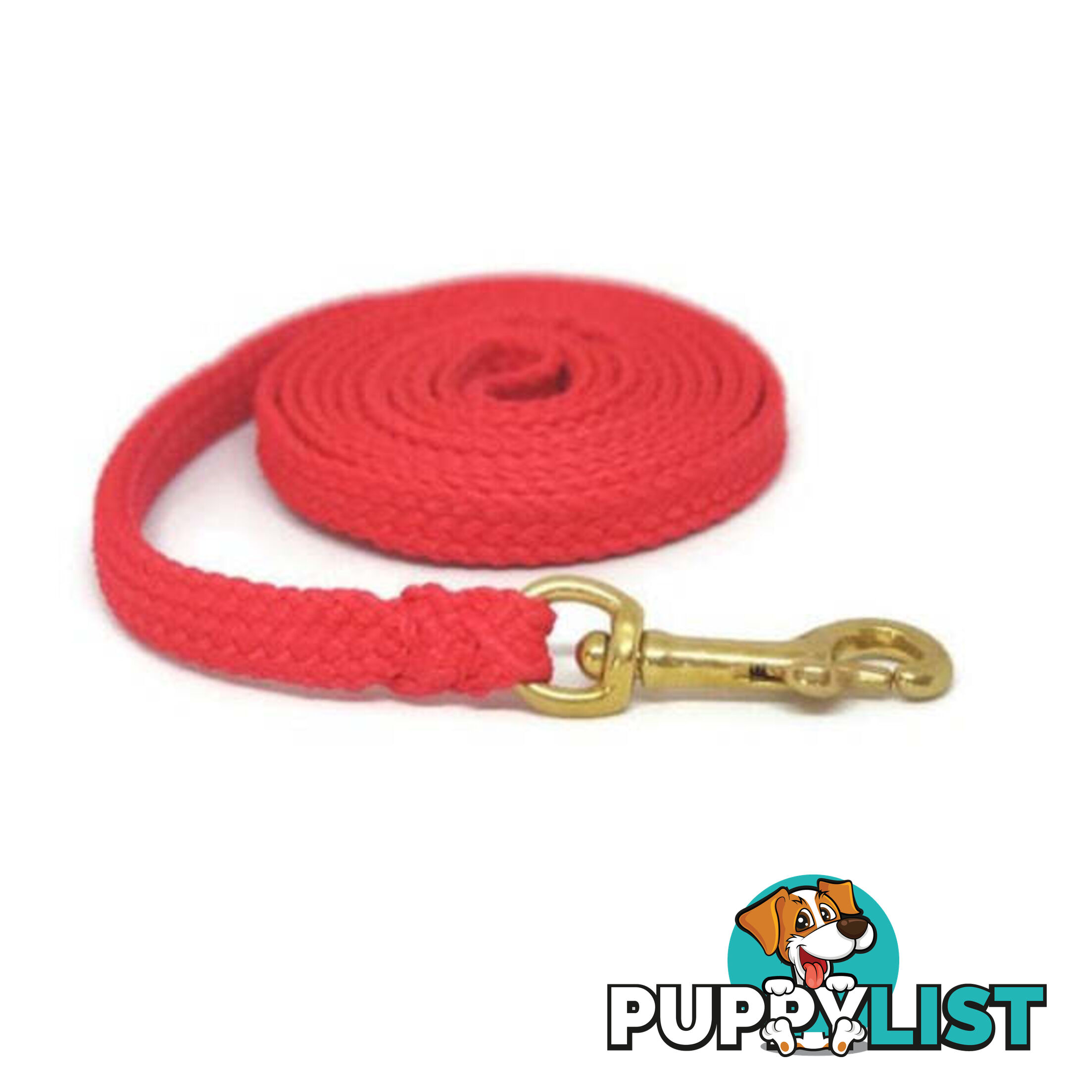 1.8m to 10m Long Dog Lead No Stitching Tough Yarnix 10mm Wide - YNXLD10-10-GR-SS