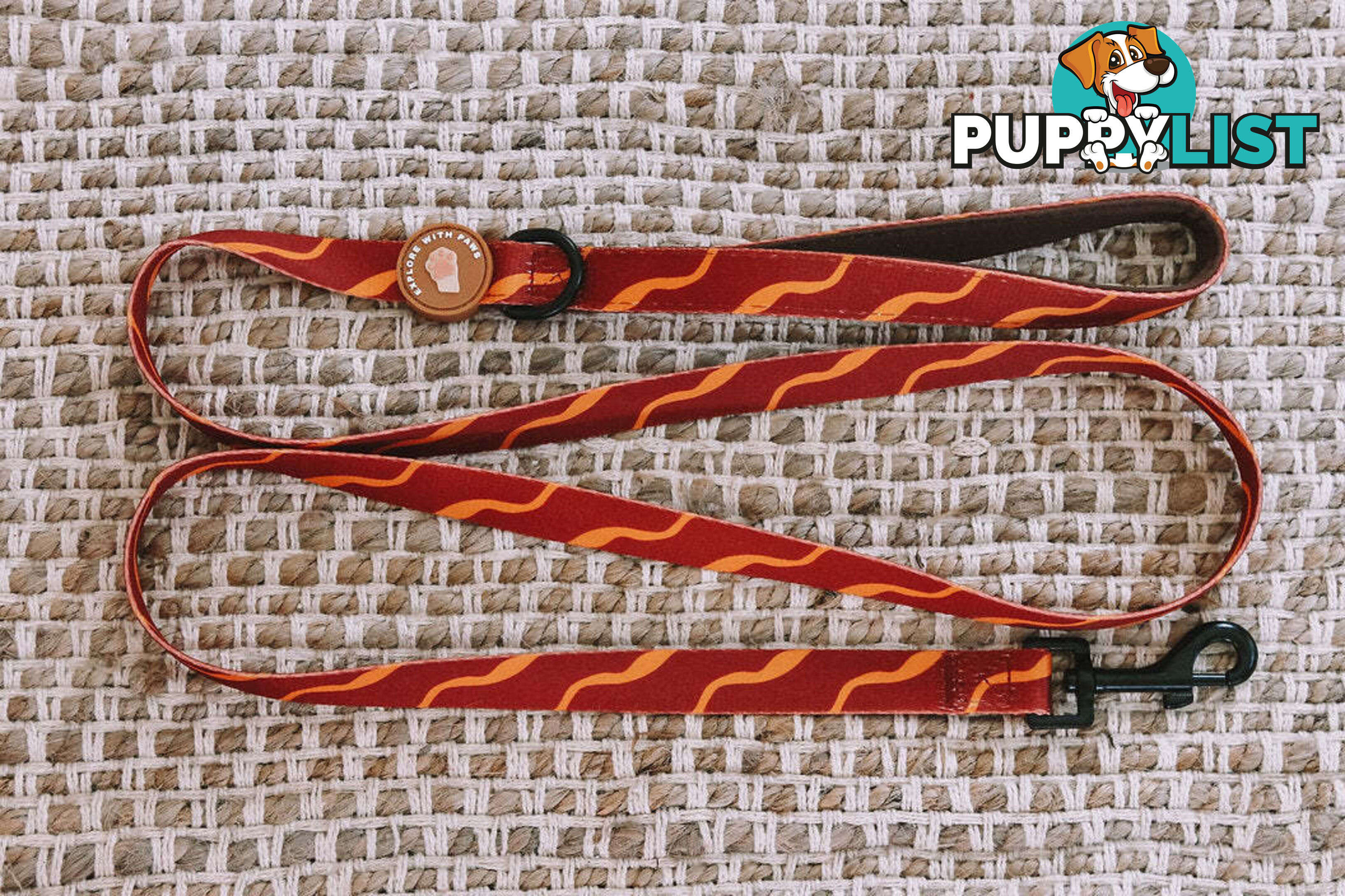 Designer Dog Leads by Explore with Paws - EWPLDCRO