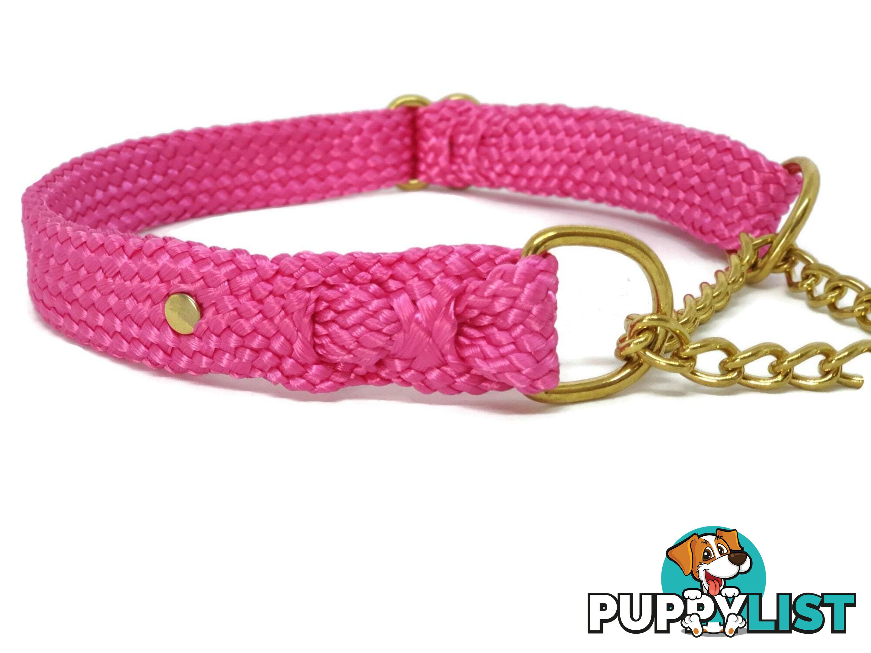 Martingale Dog Collars No Stitching Tough Yarnix - YNXCOLMARM10GRN